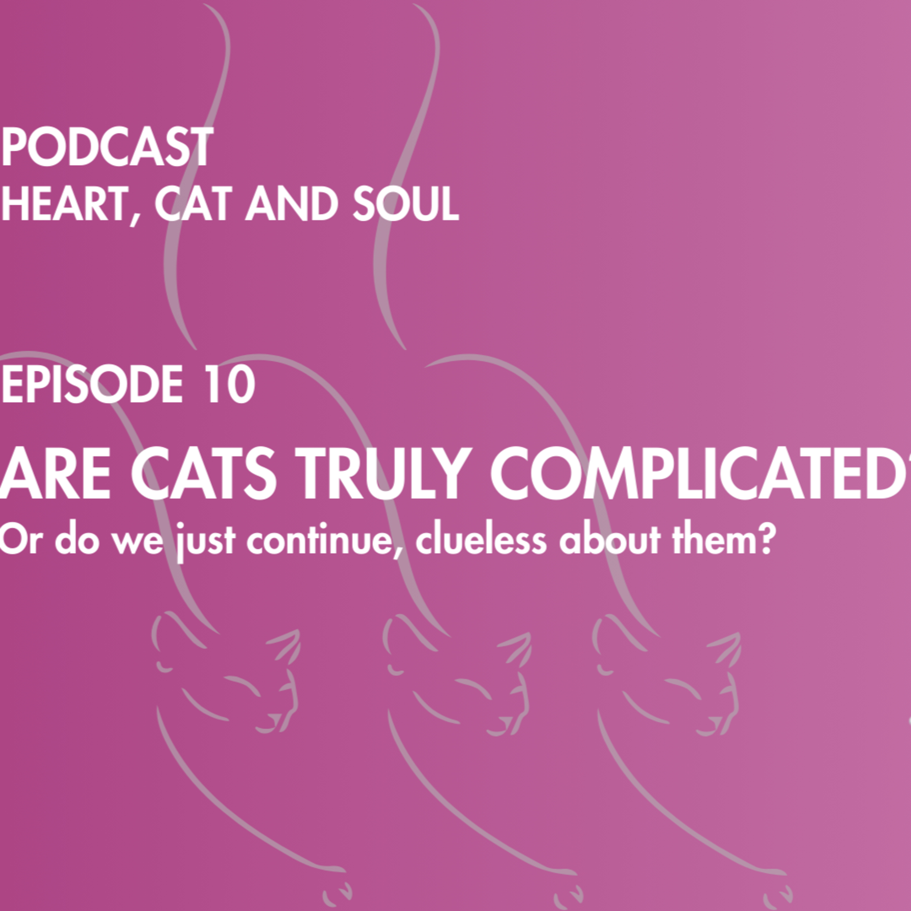 Heart, Cat and Soul - A Podcast about Cats