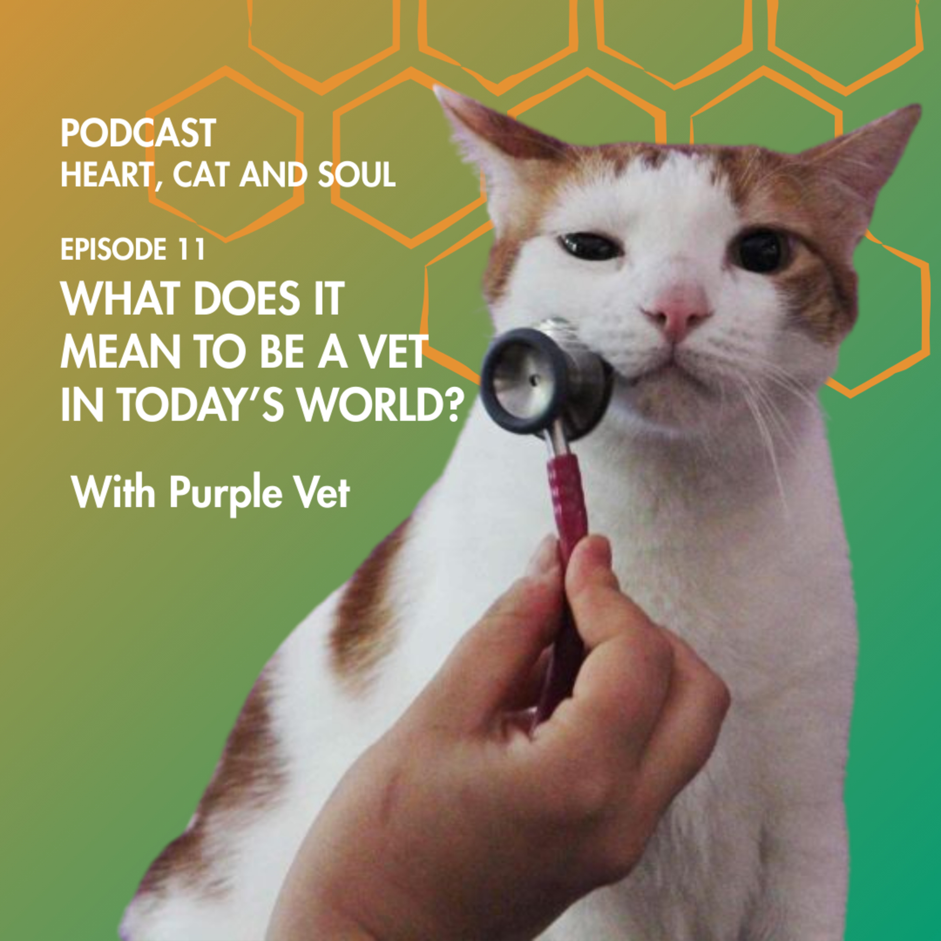 Heart, Cat and Soul - A Podcast about Cats