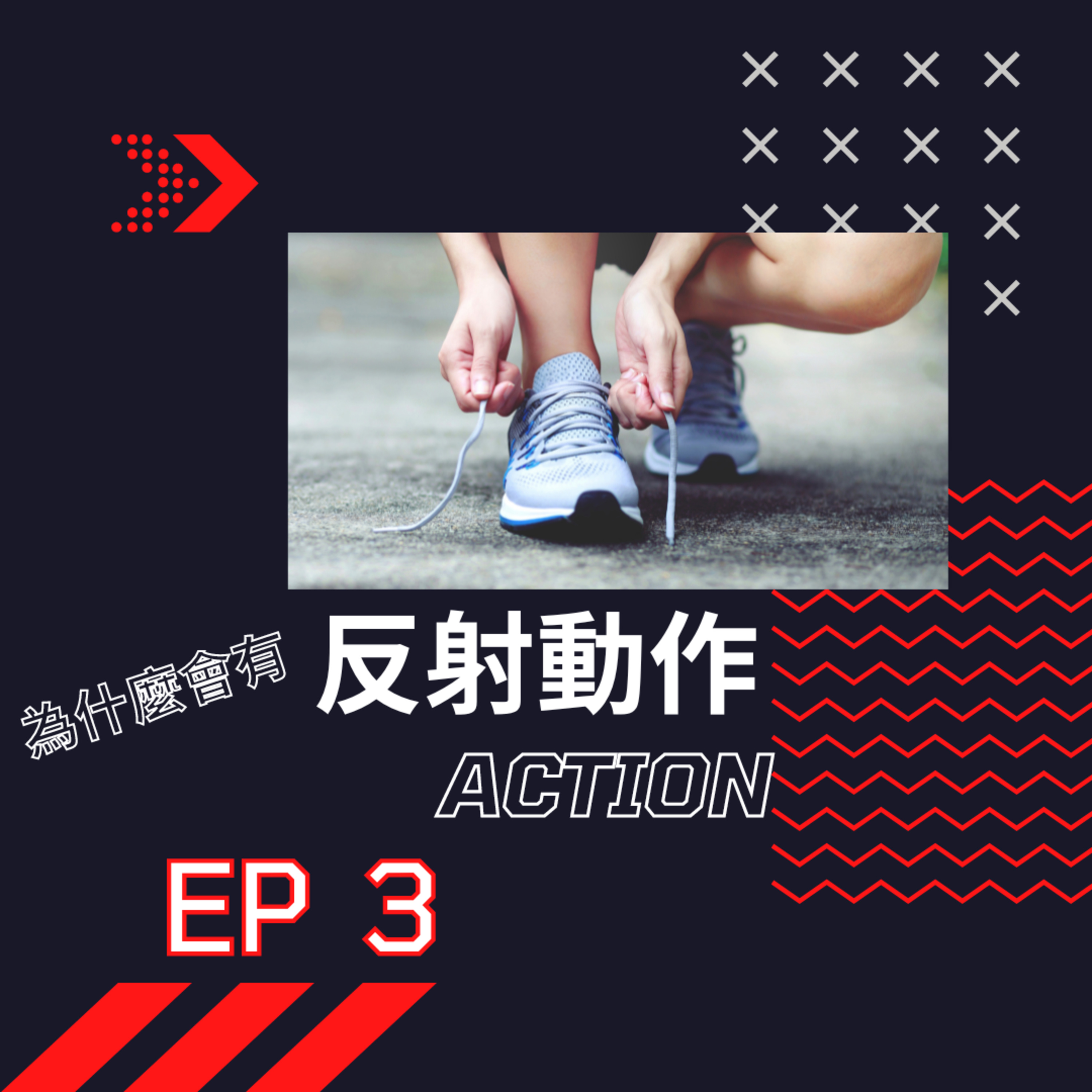 到底哪來這麼多反射動作_基礎解剖學 episode artwork