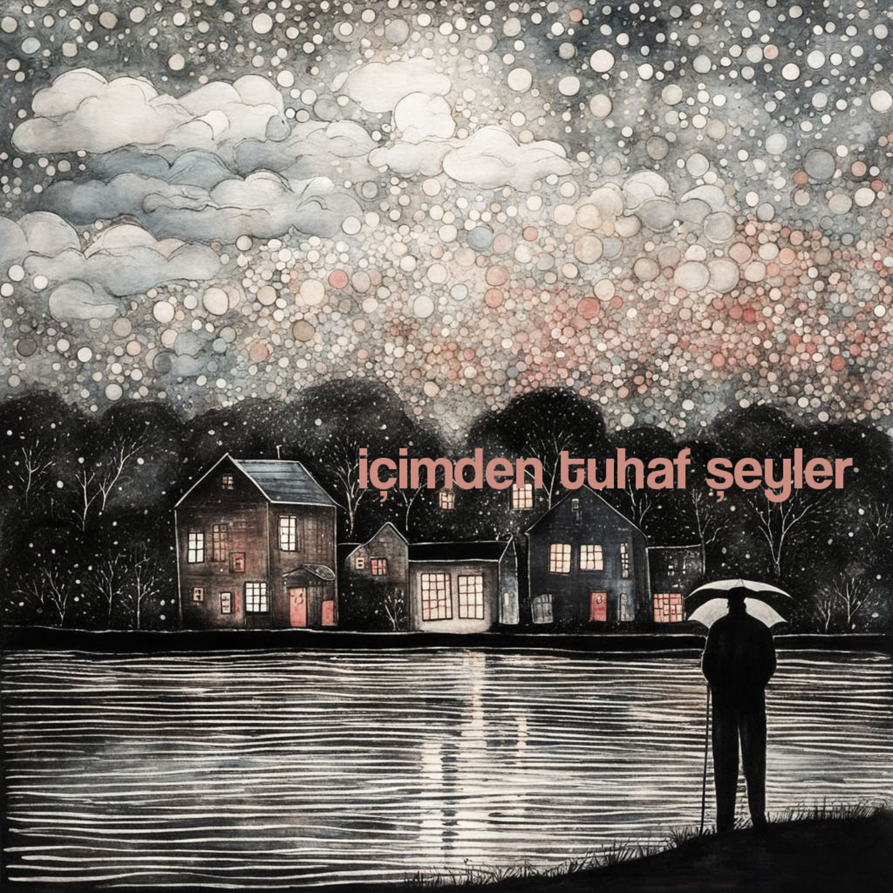 Belki de Kimse Anlamaz episode artwork
