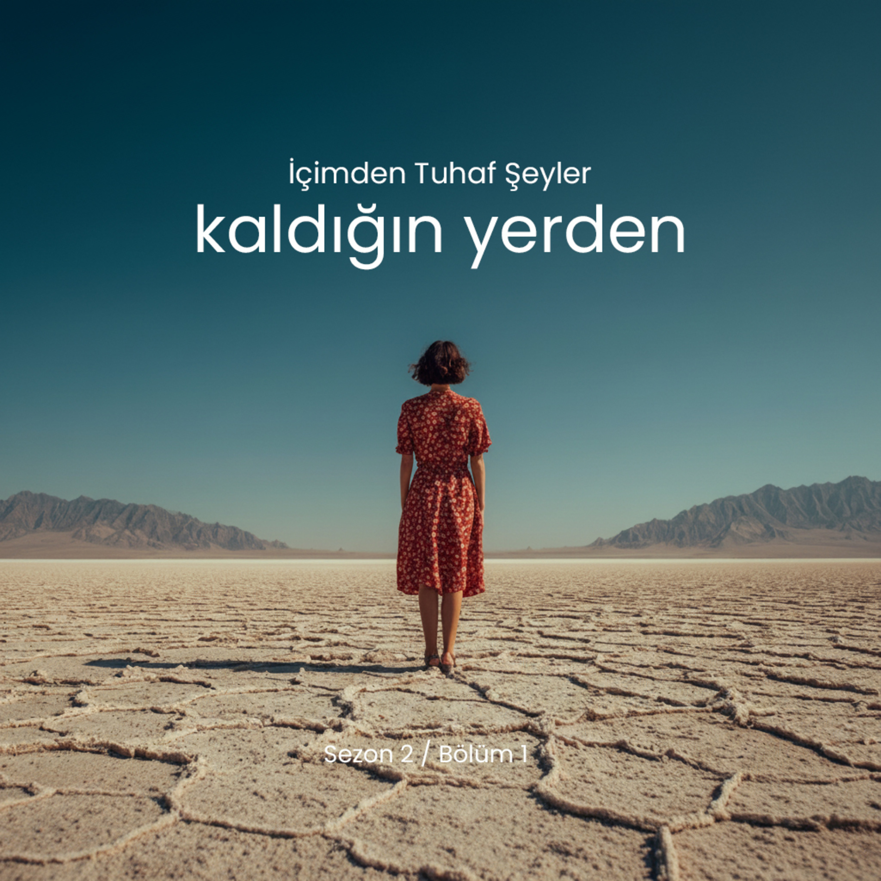 Kaldığın Yerden episode artwork
