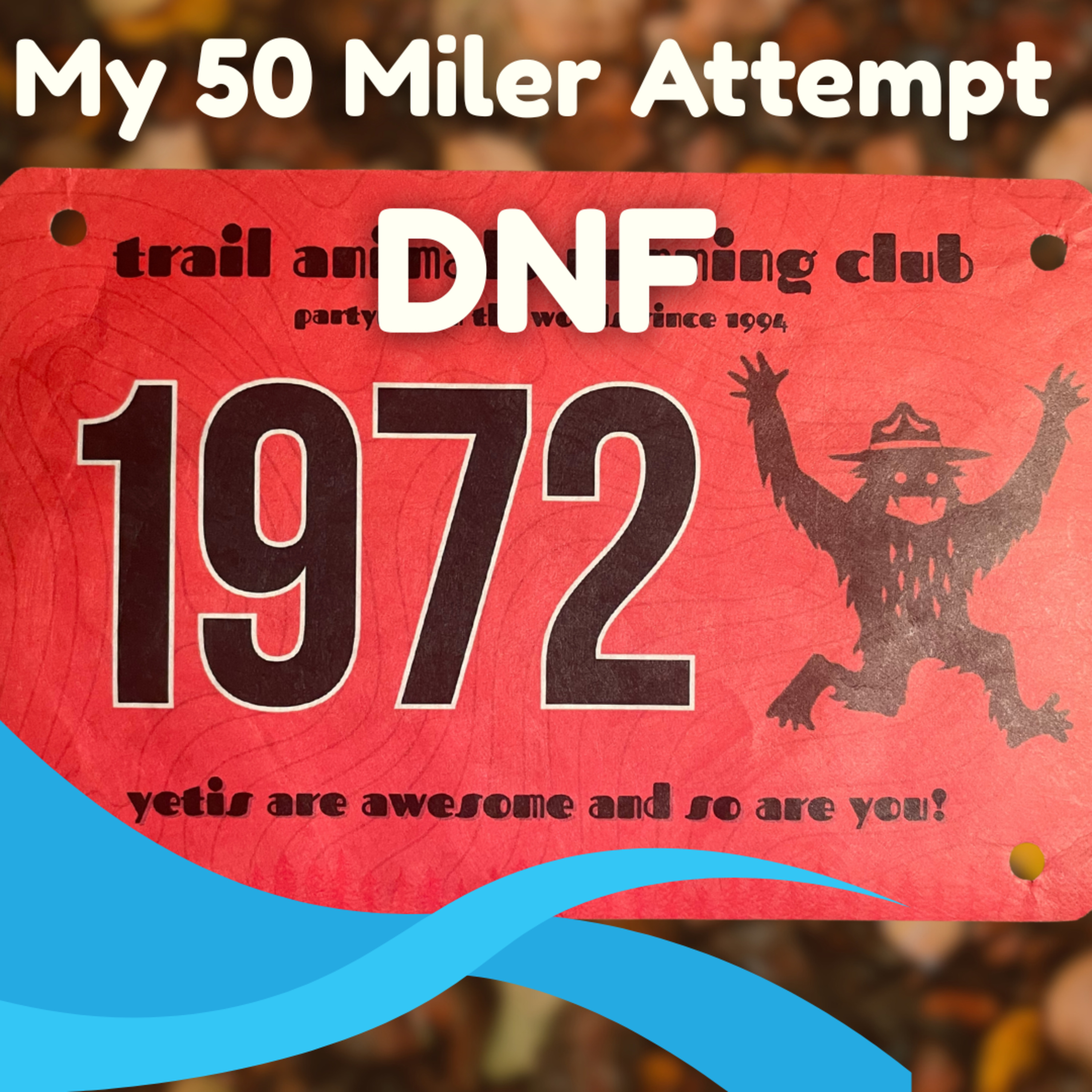 My First DNF at the Stone Cat 50 Miler: Bruised, Battered, But Still Proud episode artwork