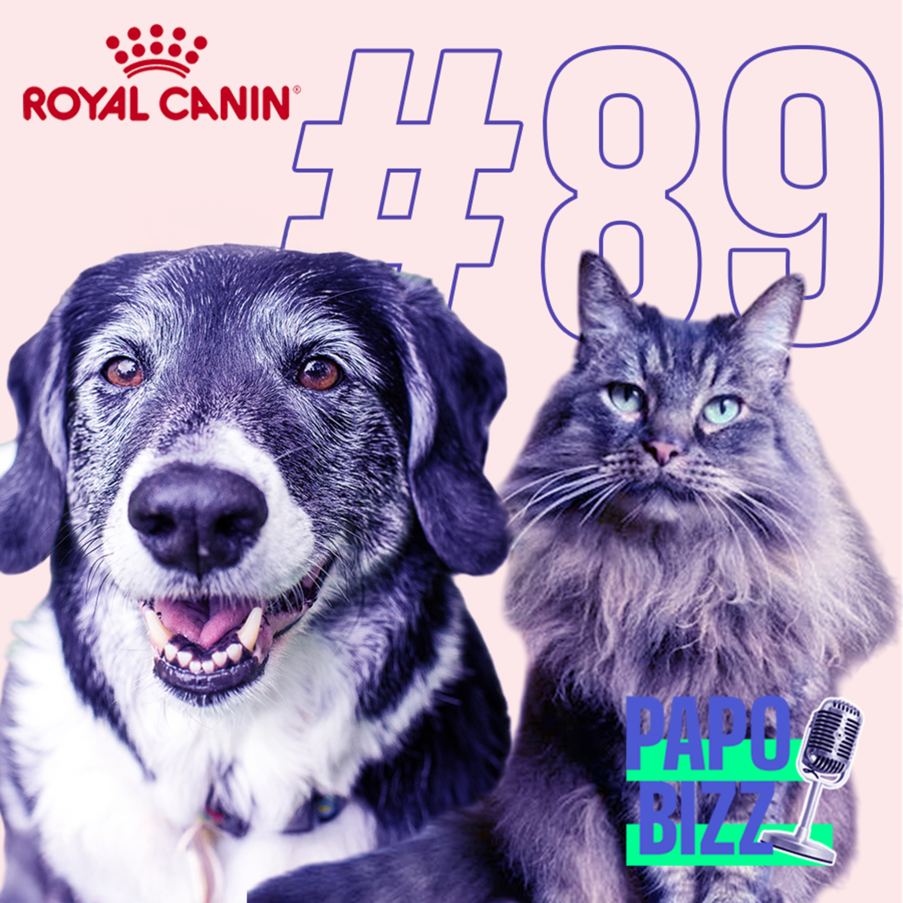 Papo Bizz #89 | ENVELHECIMENTO DOS PETS: PESQUISA ROYAL CANIN REVELA COMO TUTORES LIDAM COM O ASSUNTO episode artwork
