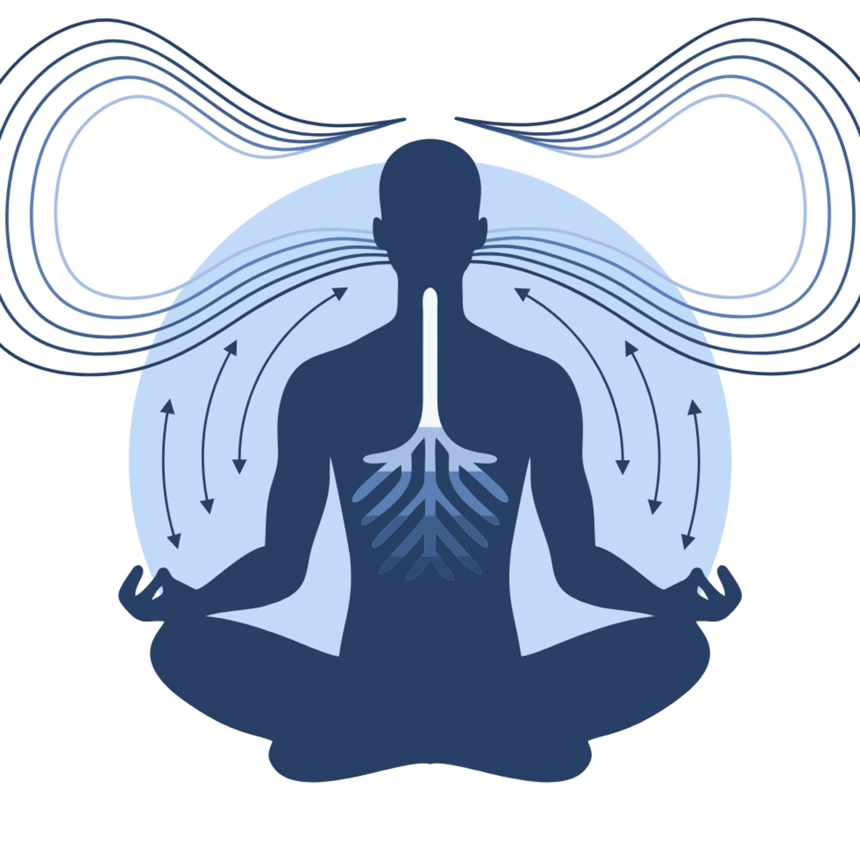 Stress Release Breathing Meditation/مدیتیشن تنفسی برای رهایی از استرس episode artwork