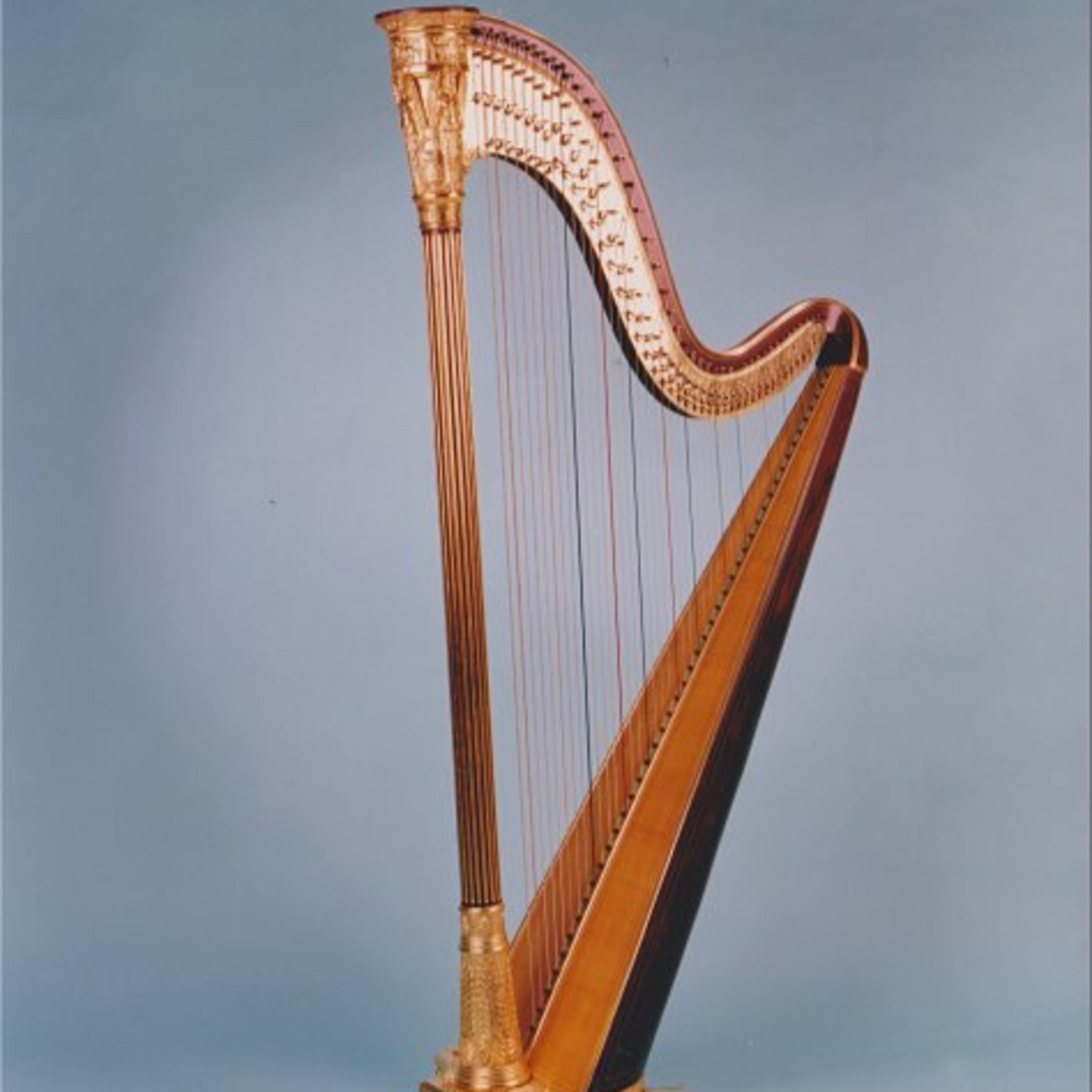 הנבל המוזהב