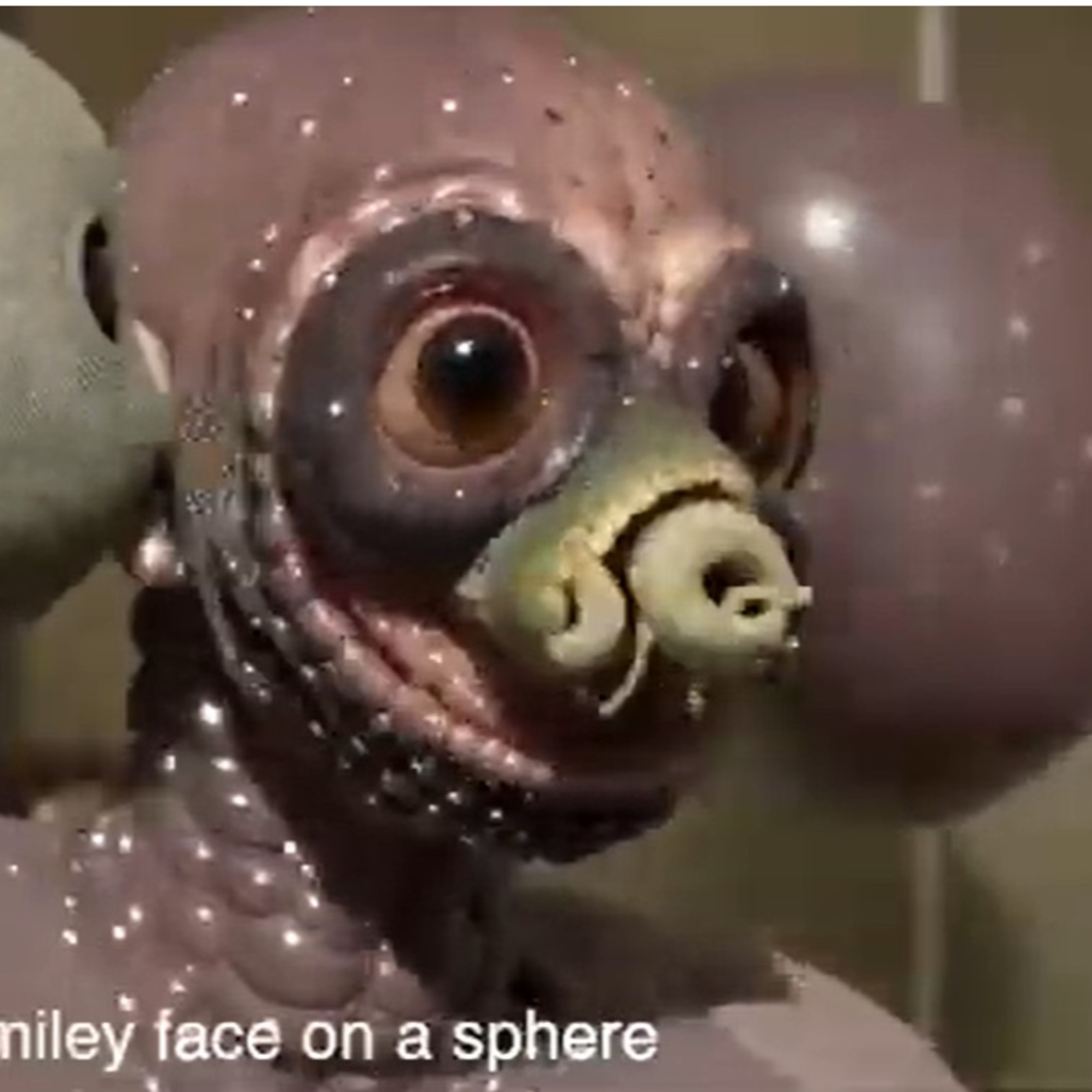 Crowdfunding with Shriekback episode artwork