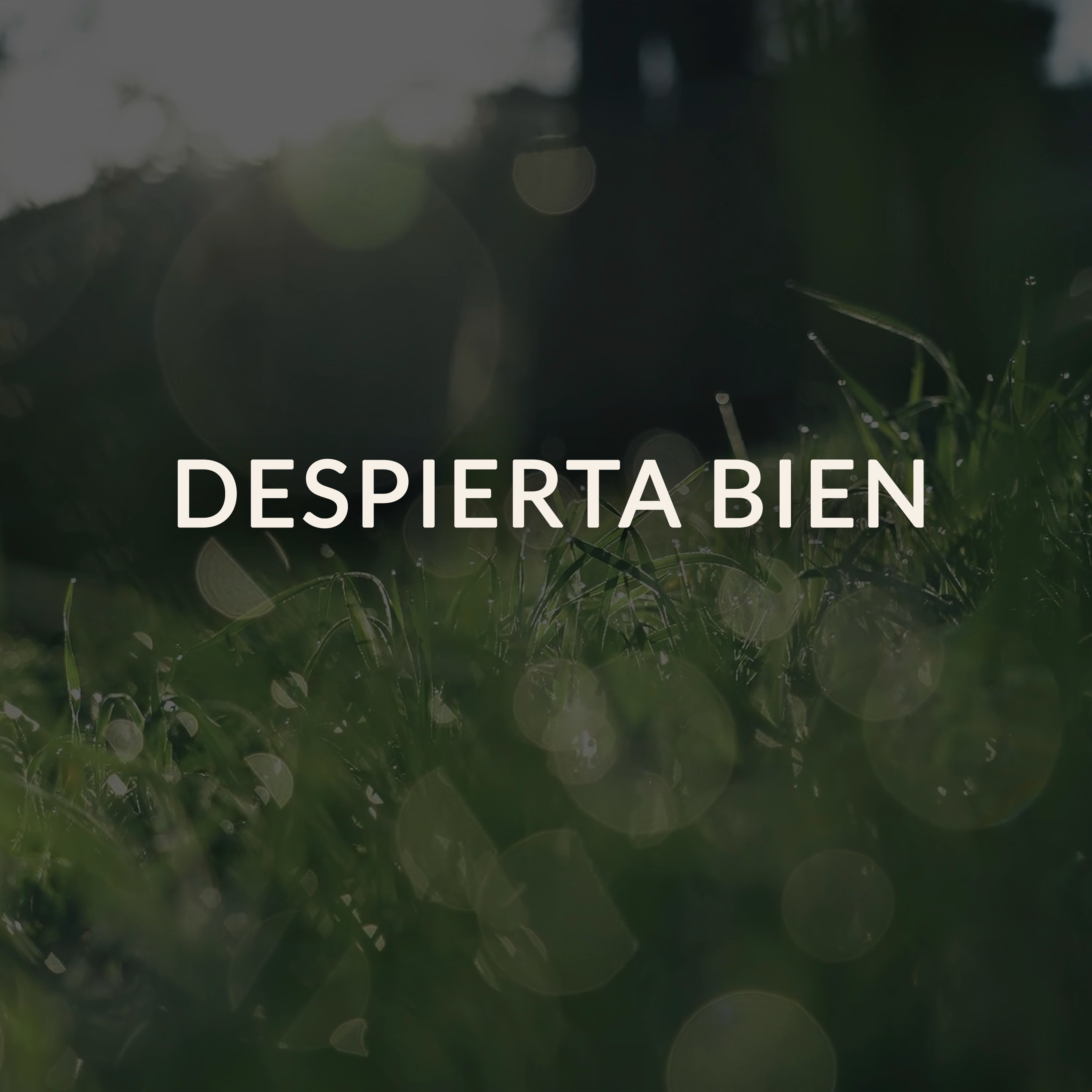 Mañana Consciente | Tu ritual de energía positiva. episode artwork