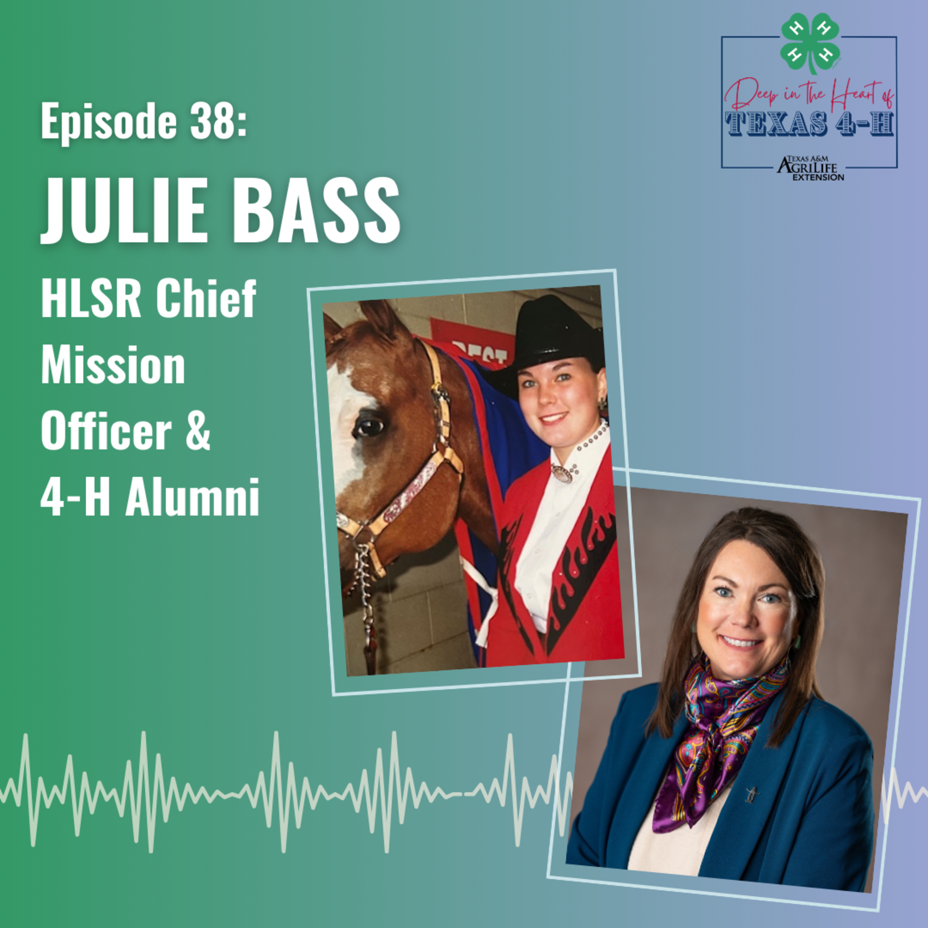 Episode 38: Julie Bass episode artwork