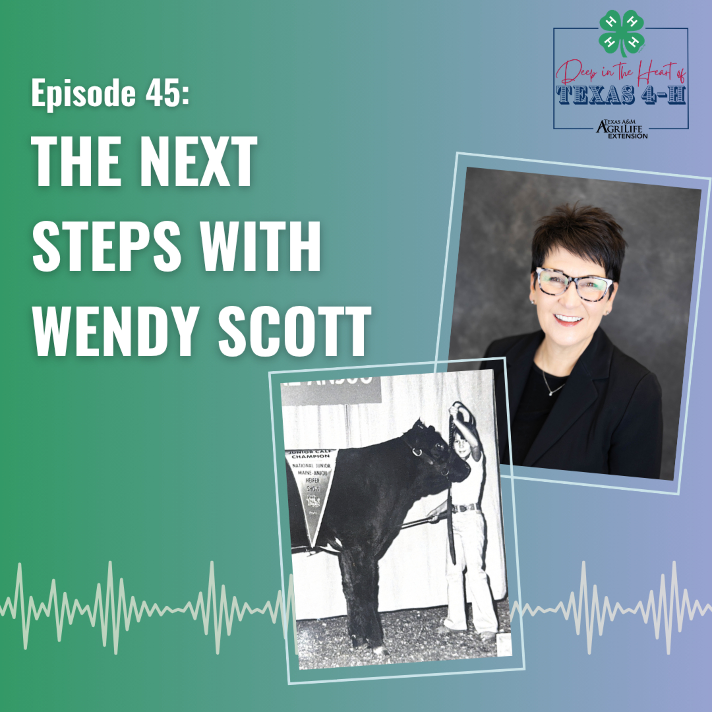 Episode 45: The Next Steps with Wendy Scott episode artwork