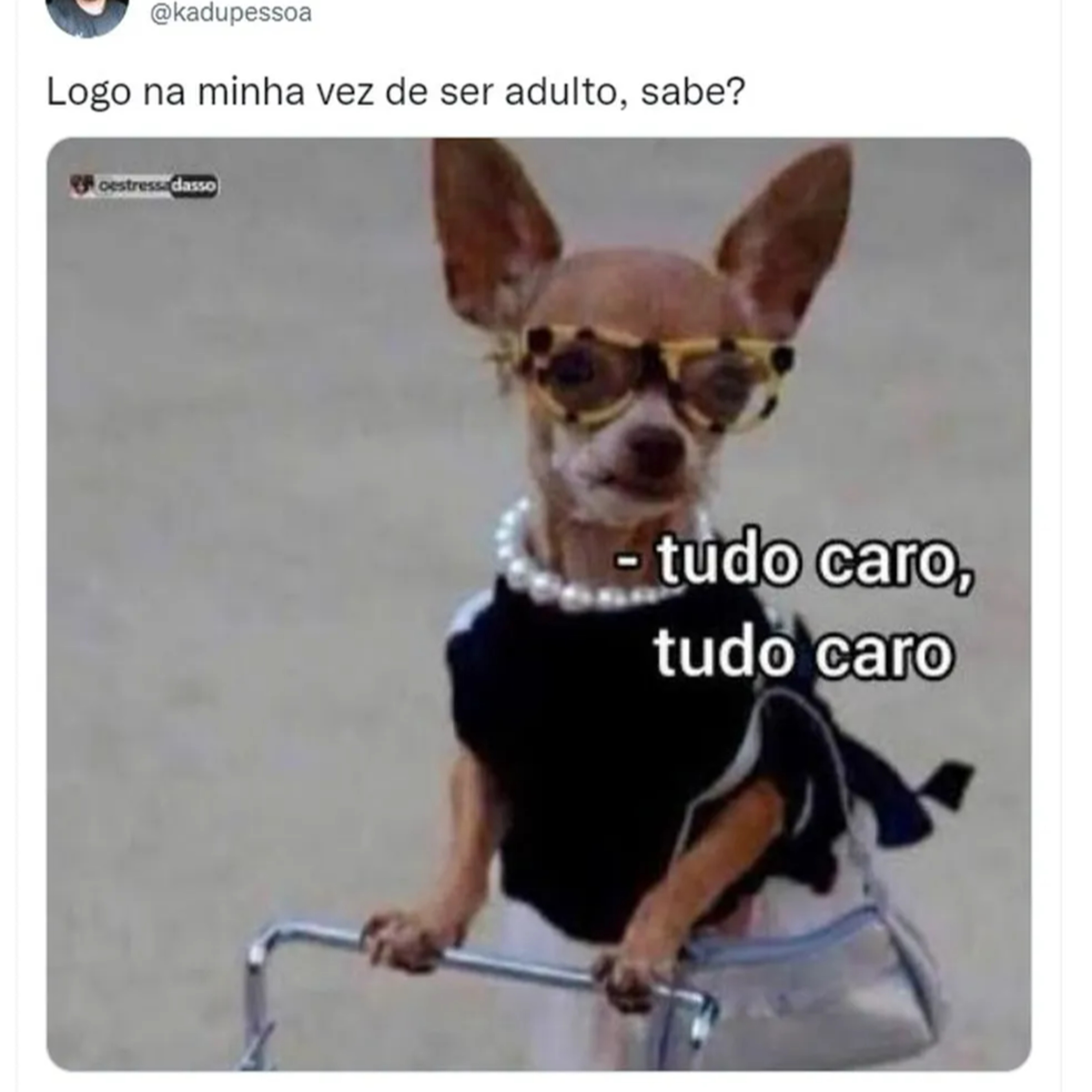 pocpodcast