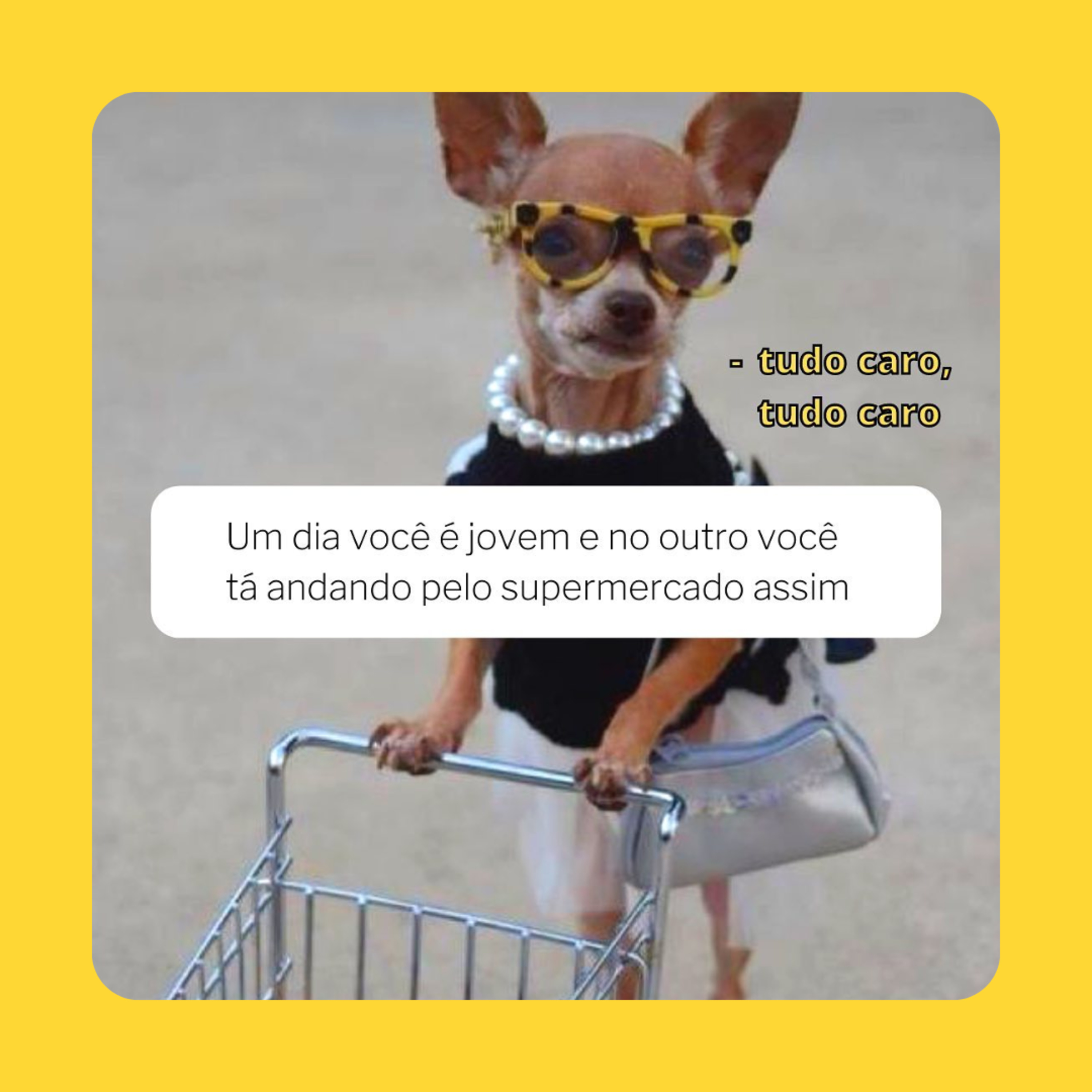 pocpodcast