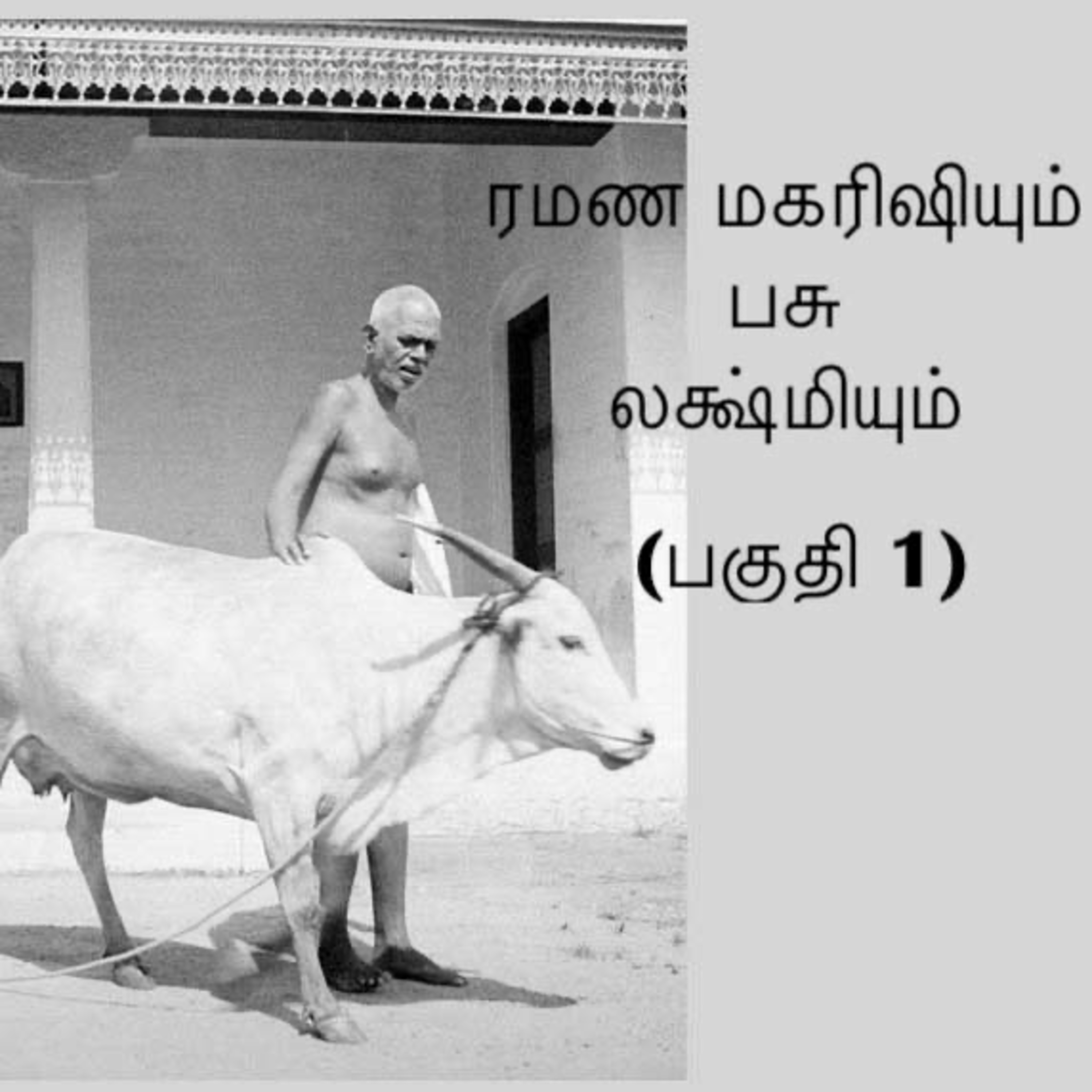 ரமண மகரிஷியும் தெய்வீக பசு லக்ஷ்மியும் (பகுதி 1) - மிருகங்களும் மனிதரைப் போல நடந்துக் கொள்ள முடியும் எனத் தெரிகிறது episode artwork