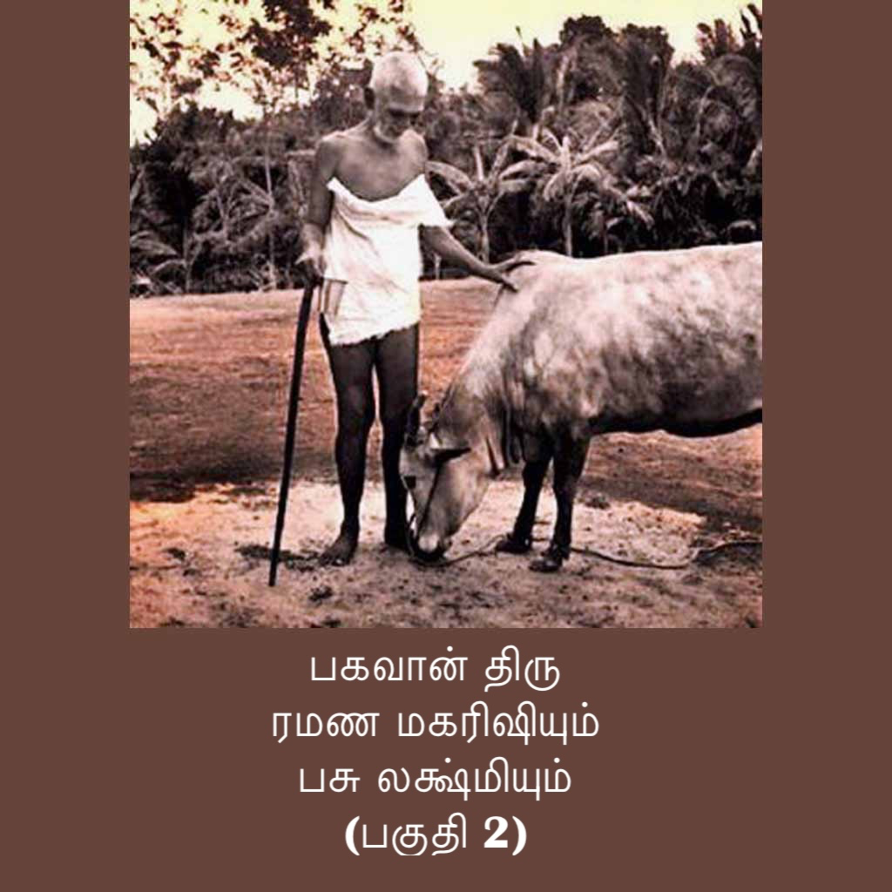 ரமண மகரிஷியும் தெய்வீக பசு லக்ஷ்மியும் (பகுதி 2) - ஆன்மீக குணங்கள் கொண்ட பசு ரமணரின் அருள் பெற்றது episode artwork