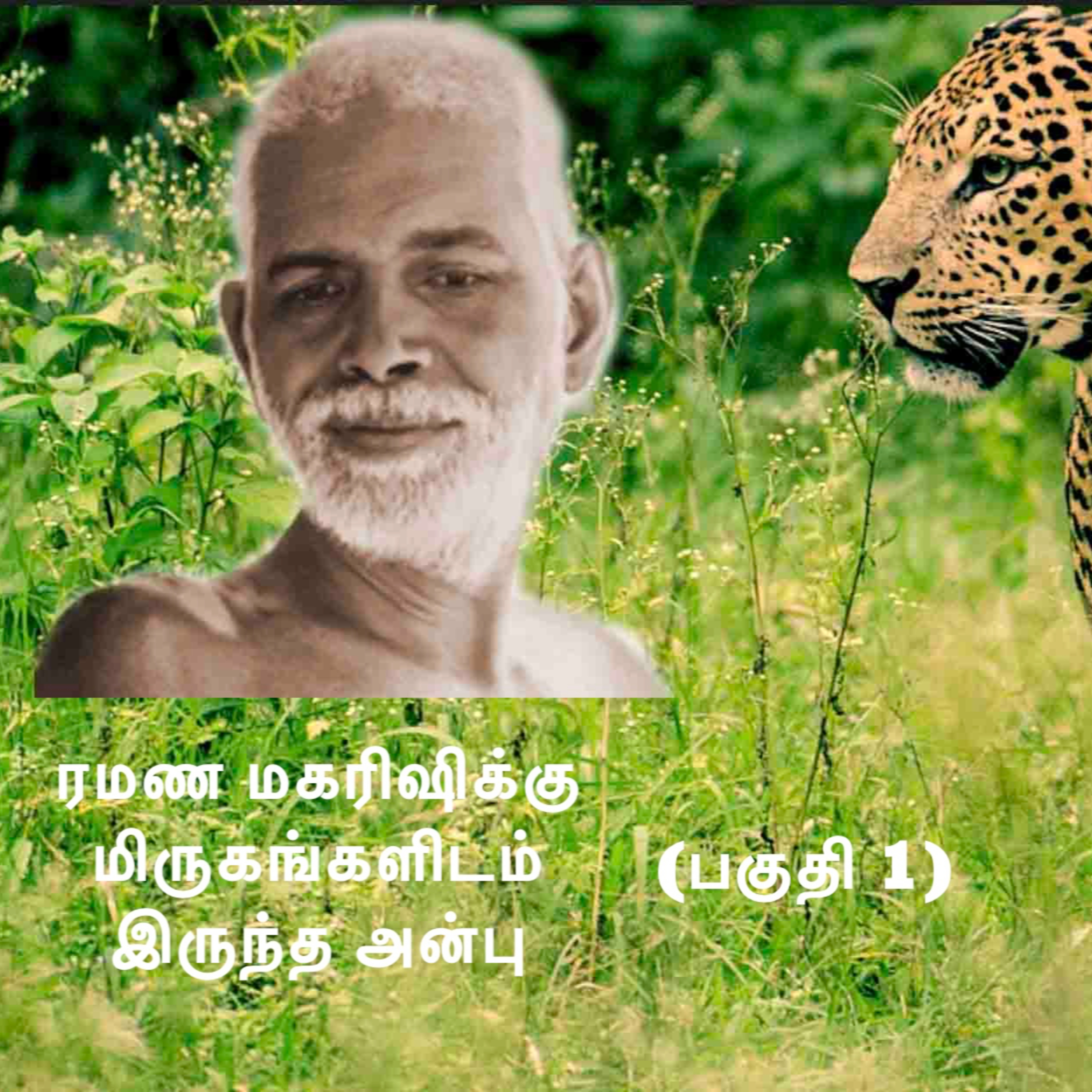 ரமண மகரிஷிக்கு மிருகங்களின் மீதிருந்த அன்பு (பகுதி 1) ~ ரமணரின் மர்மமான சக்தி கொடிய விலங்கைக் கூட பணிவாக்கியது episode artwork