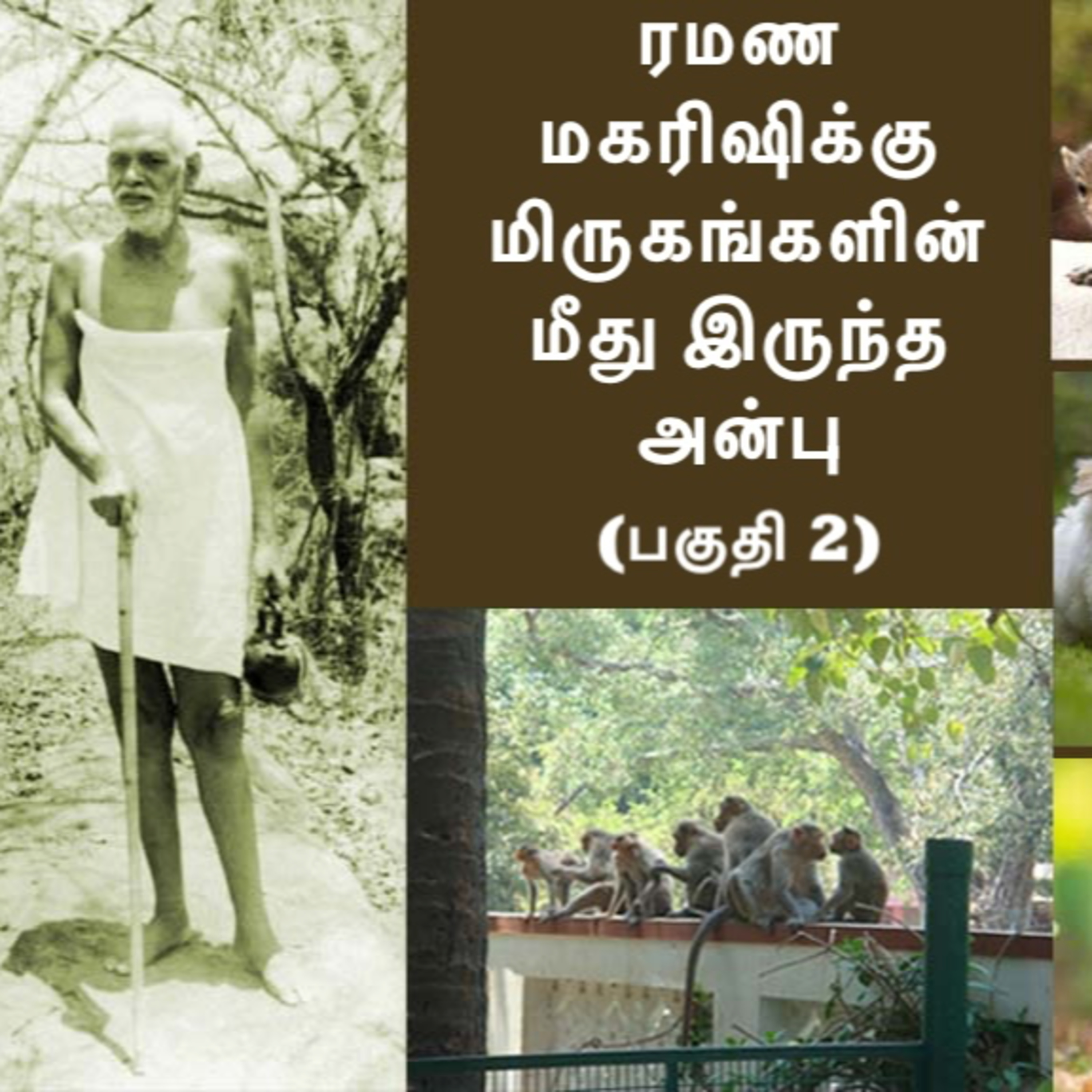ரமண மகரிஷிக்கு மிருகங்களின் மீதிருந்த அன்பு (பகுதி 2) ~ மிருகங்களுக்கு அதிக புத்திசாலித்தனம் உள்ளது episode artwork