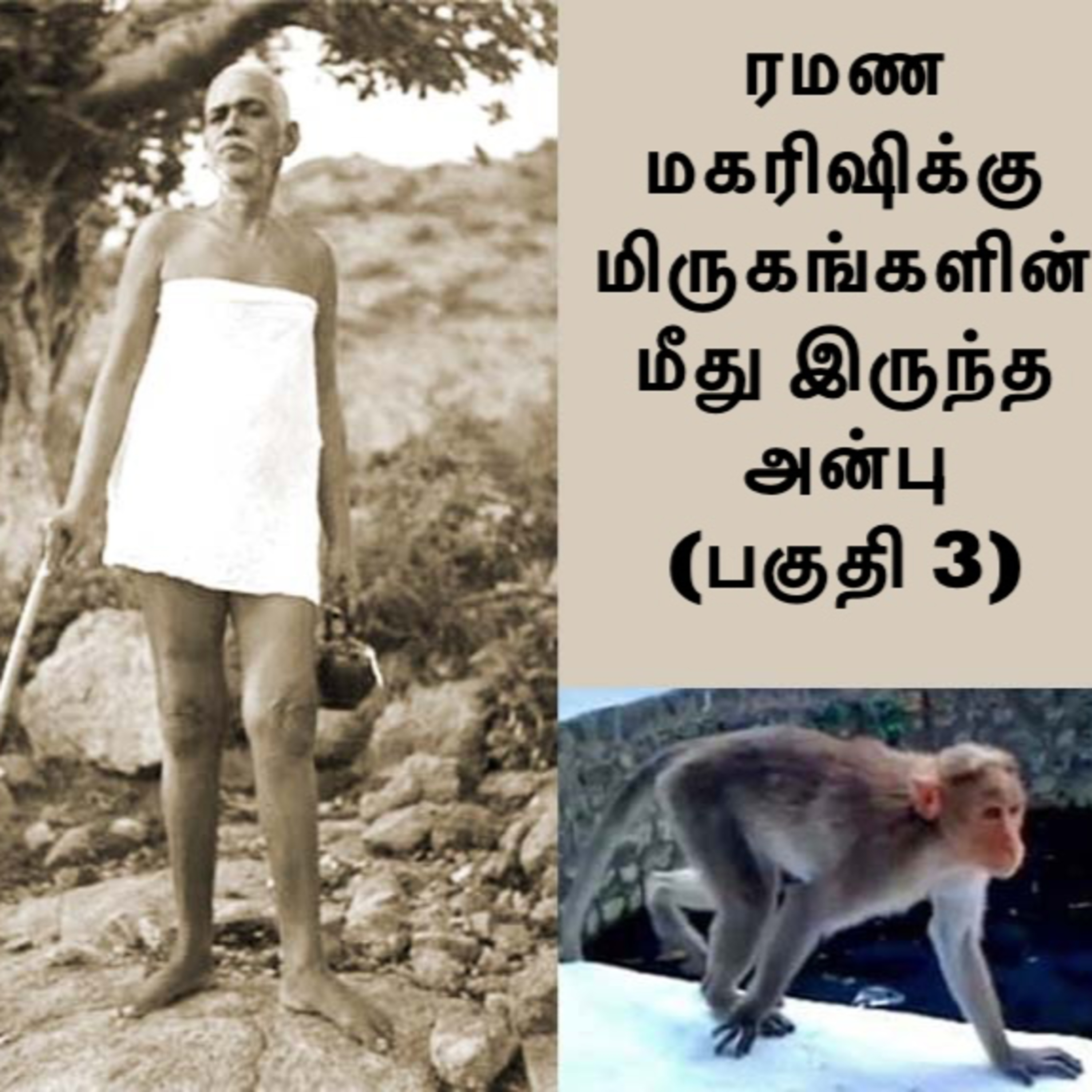ரமண மகரிஷிக்கு மிருகங்கள் மீதிருந்த அன்பு (பகுதி 3) ~ ரமணர் பரமாத்மாவானதால் அவரது அன்புக்கு அளவில்லை episode artwork
