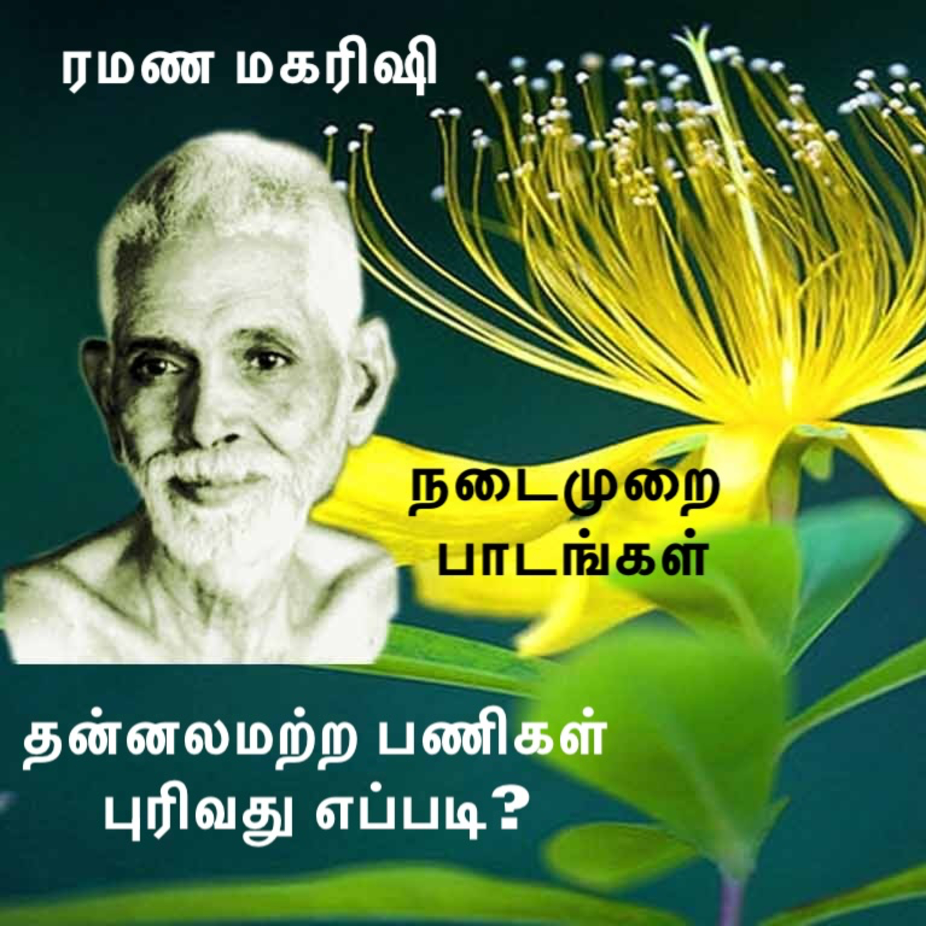 ரமண மகரிஷி ~ தன்னலமற்ற செயல்கள் செய்வதும் பணிகள் புரிவதும் எப்படி? ரமண மகரிஷியின் நடைமுறைப் பாடங்கள் episode artwork