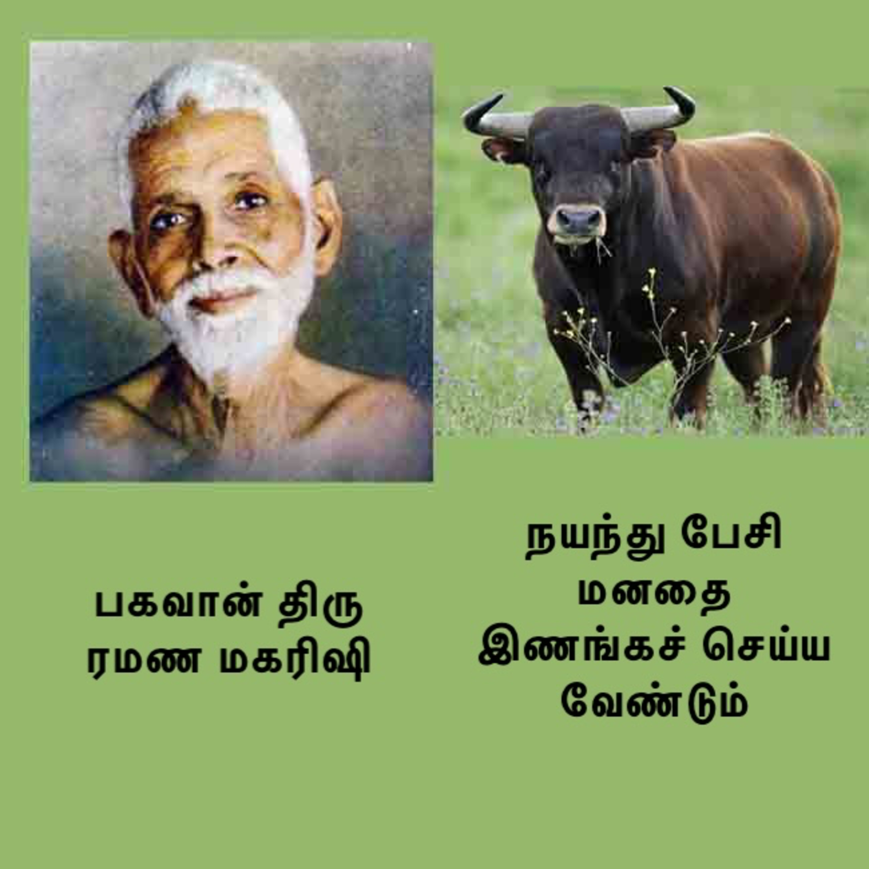 ரமண மகரிஷியின் அறிவுரைகள் ~ மனதைக் கட்டுப்படுத்த, மனதுடன் நயந்து பேசி அதை இணங்கச் செய்ய வேண்டும் episode artwork