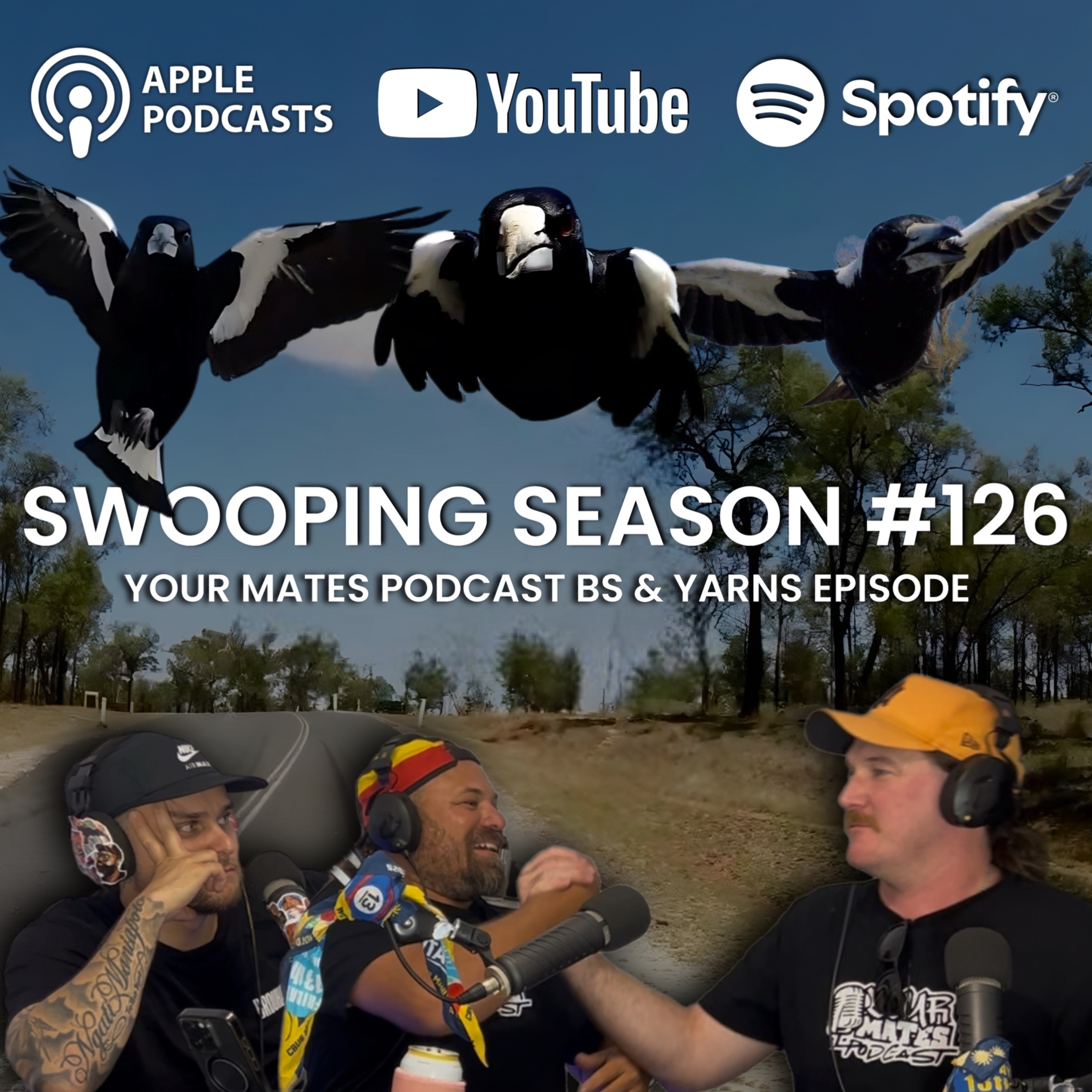 Swooping season #126