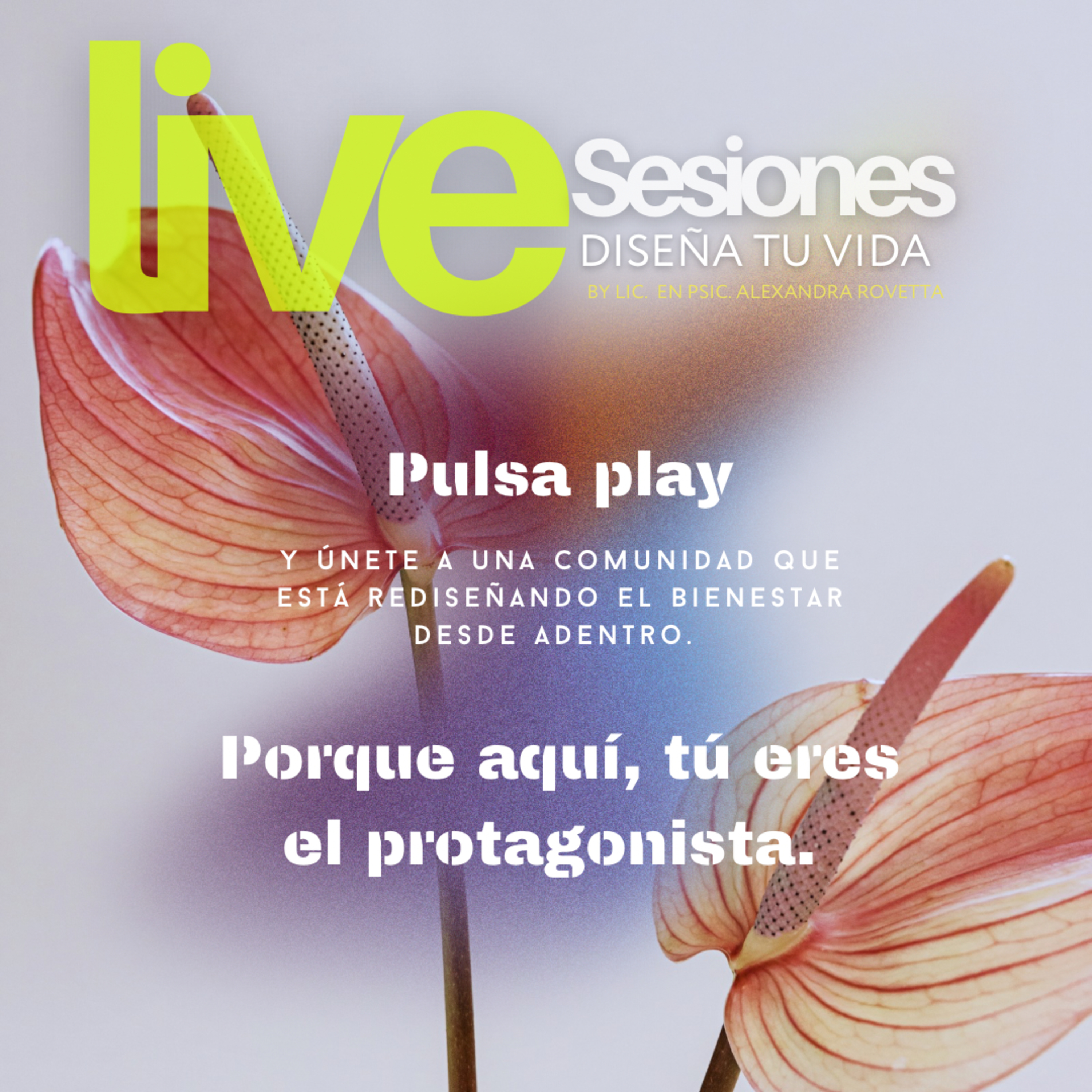 Sesiones Live ~ Diseña tu Vida