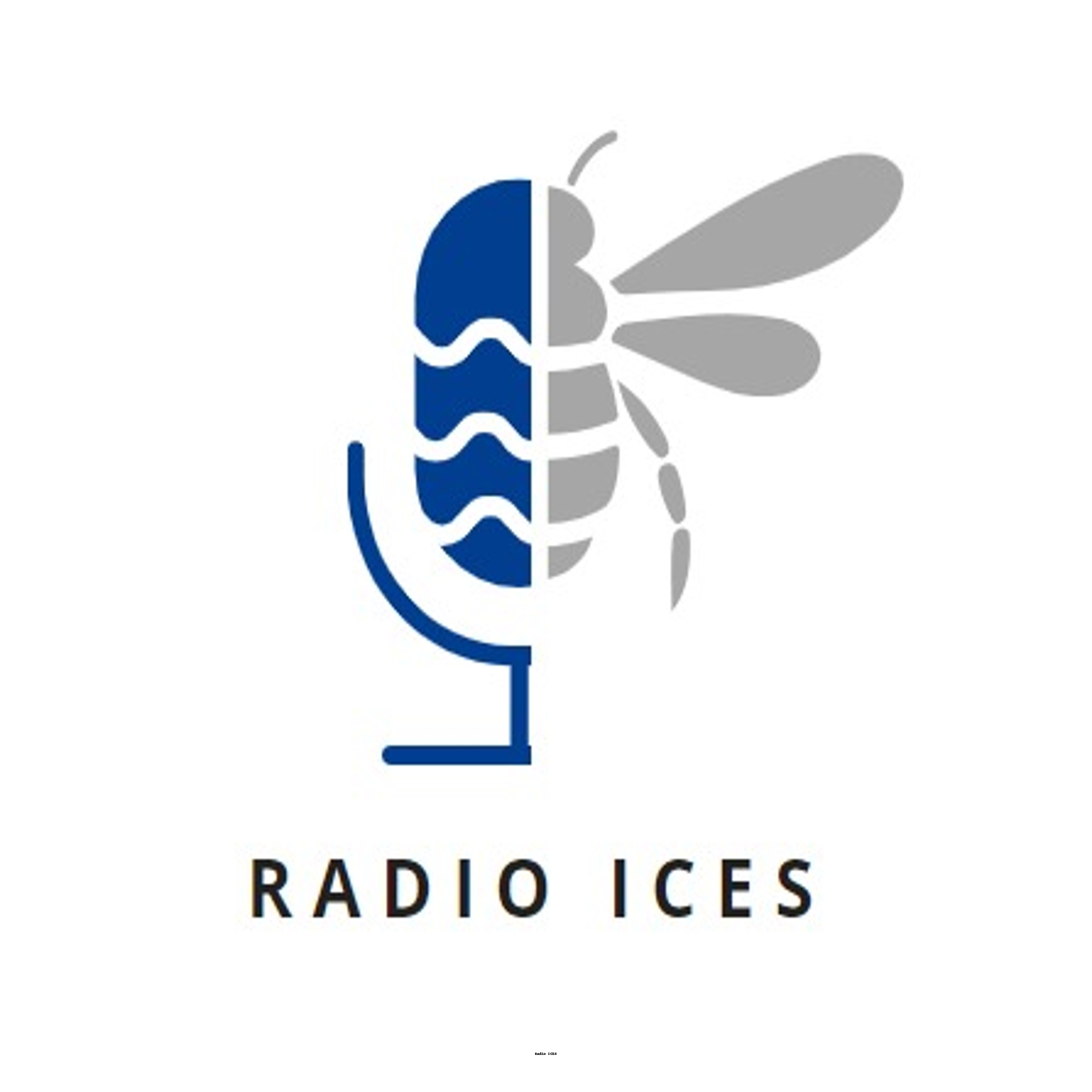 Radio ICES