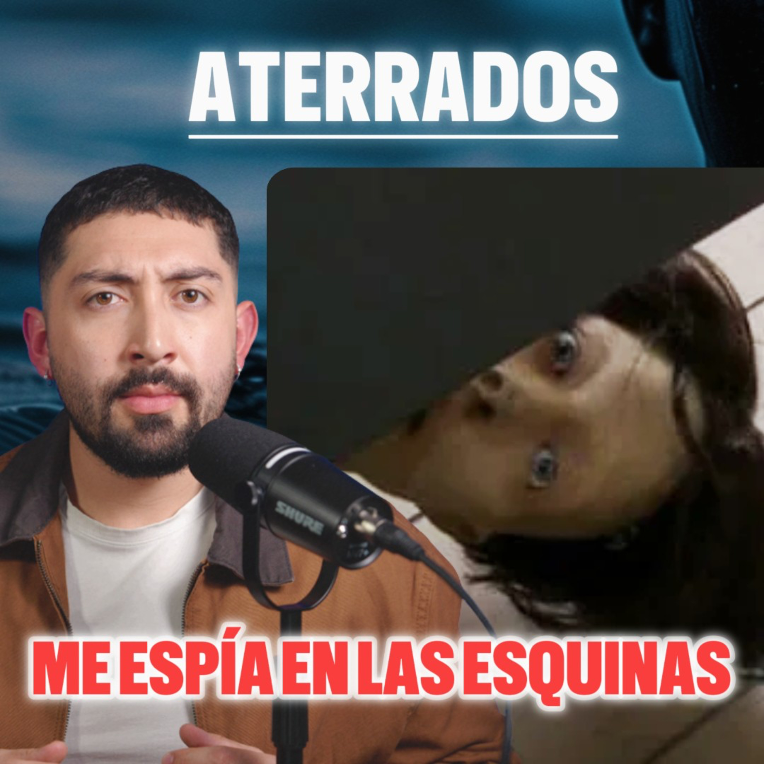 ATERRADOS
