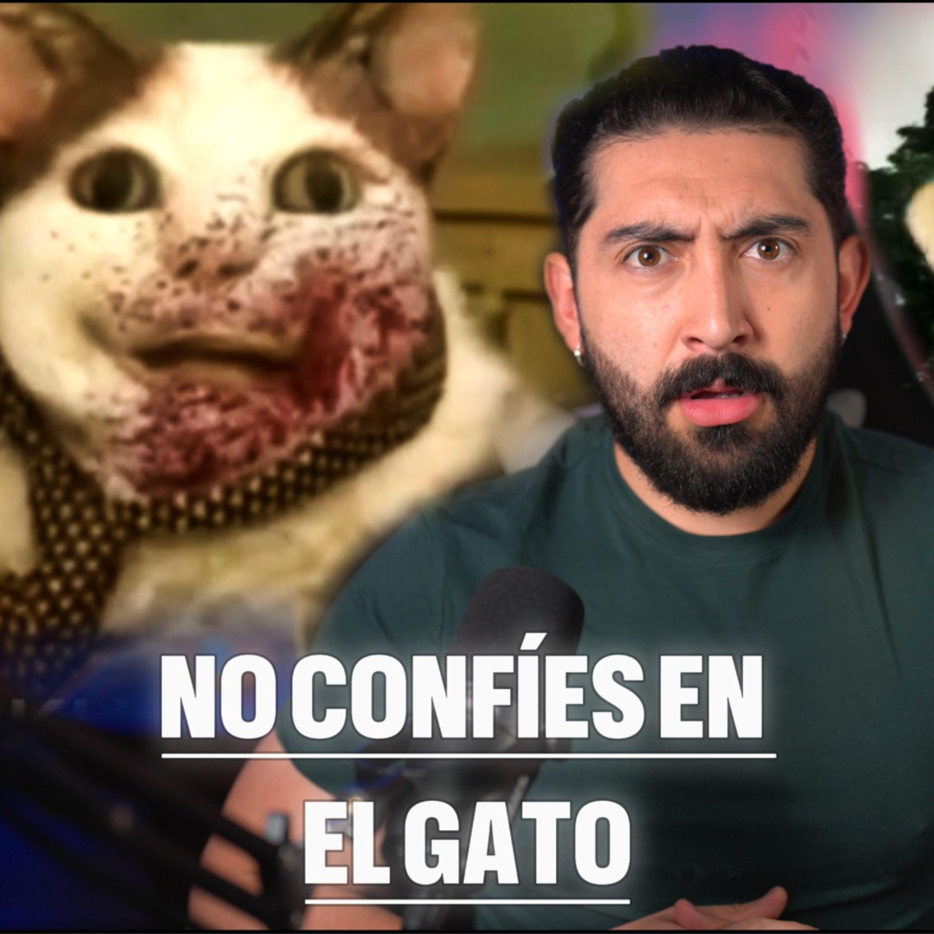 NO CONFÍES EN ESE GATO