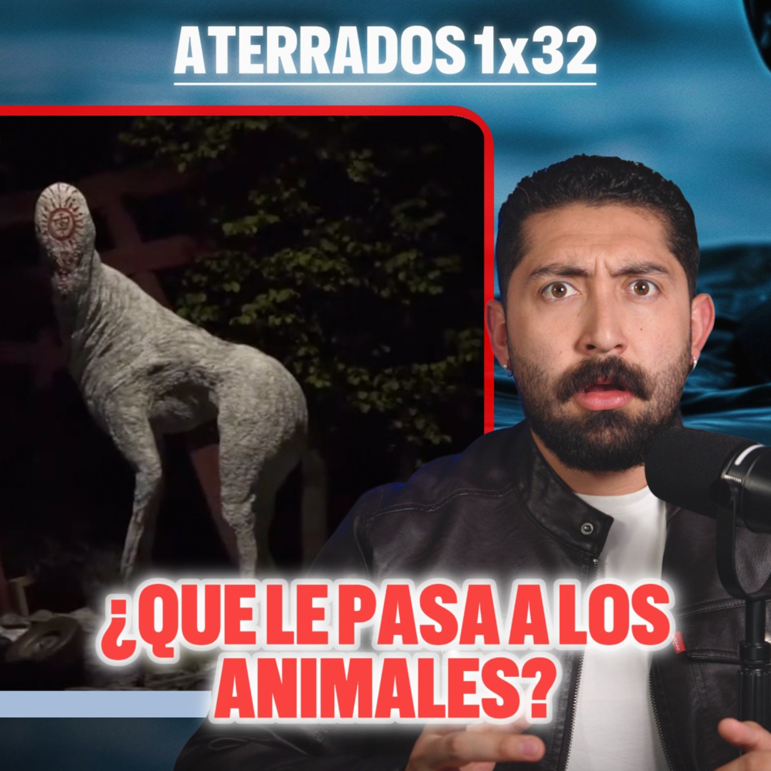 ALGO ESTÁ MAL CON LOS ANIMALES DE ESTE ZOOLOGICO episode artwork