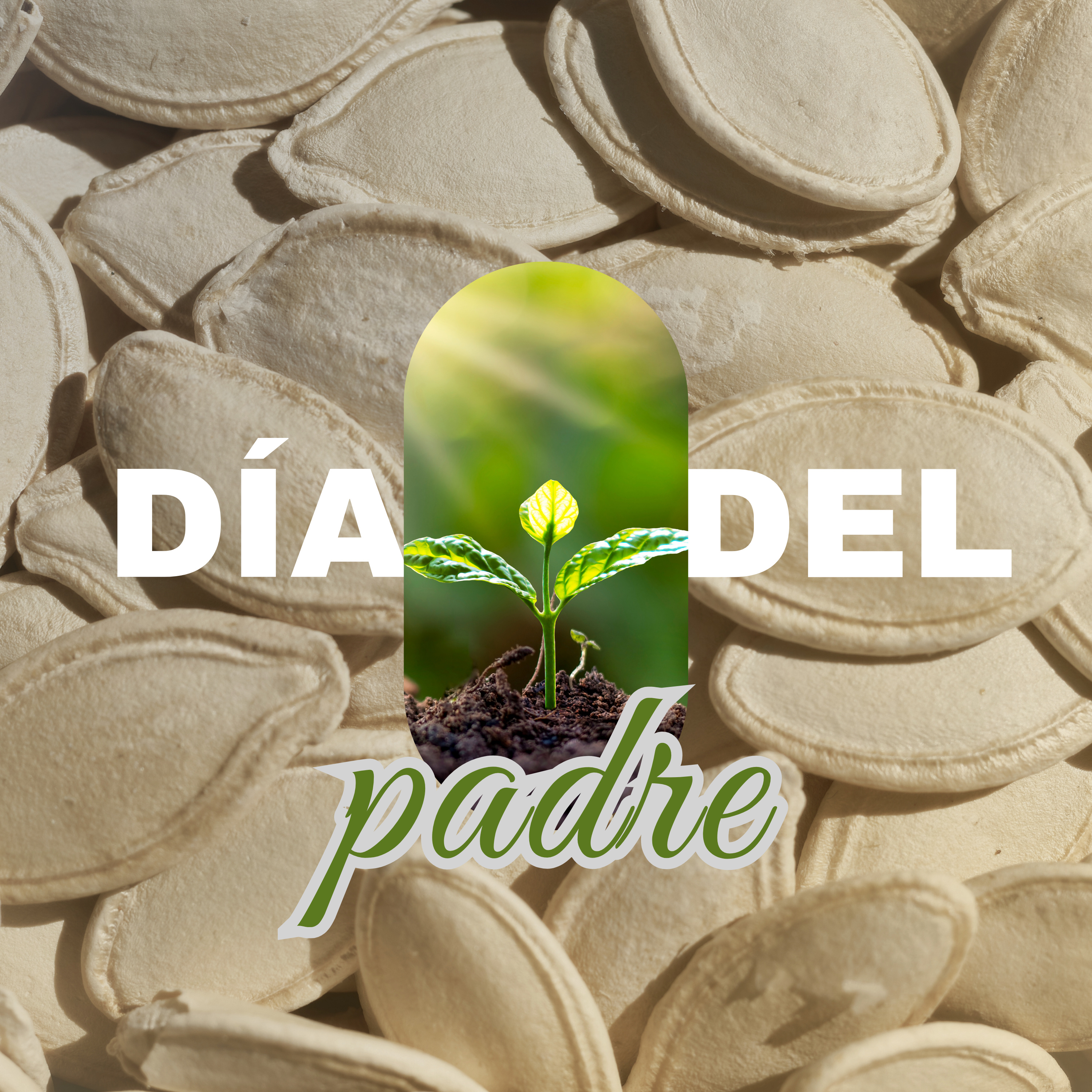La herencia de un padre justo | Proverbios 20:7