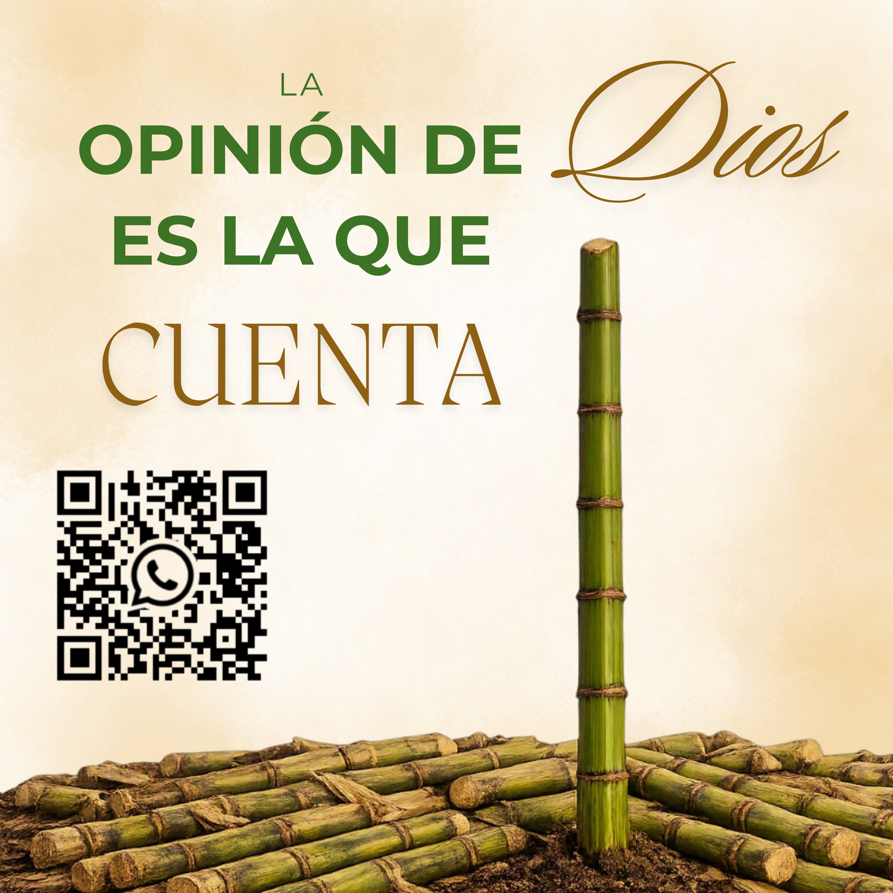 Momentos con Dios
