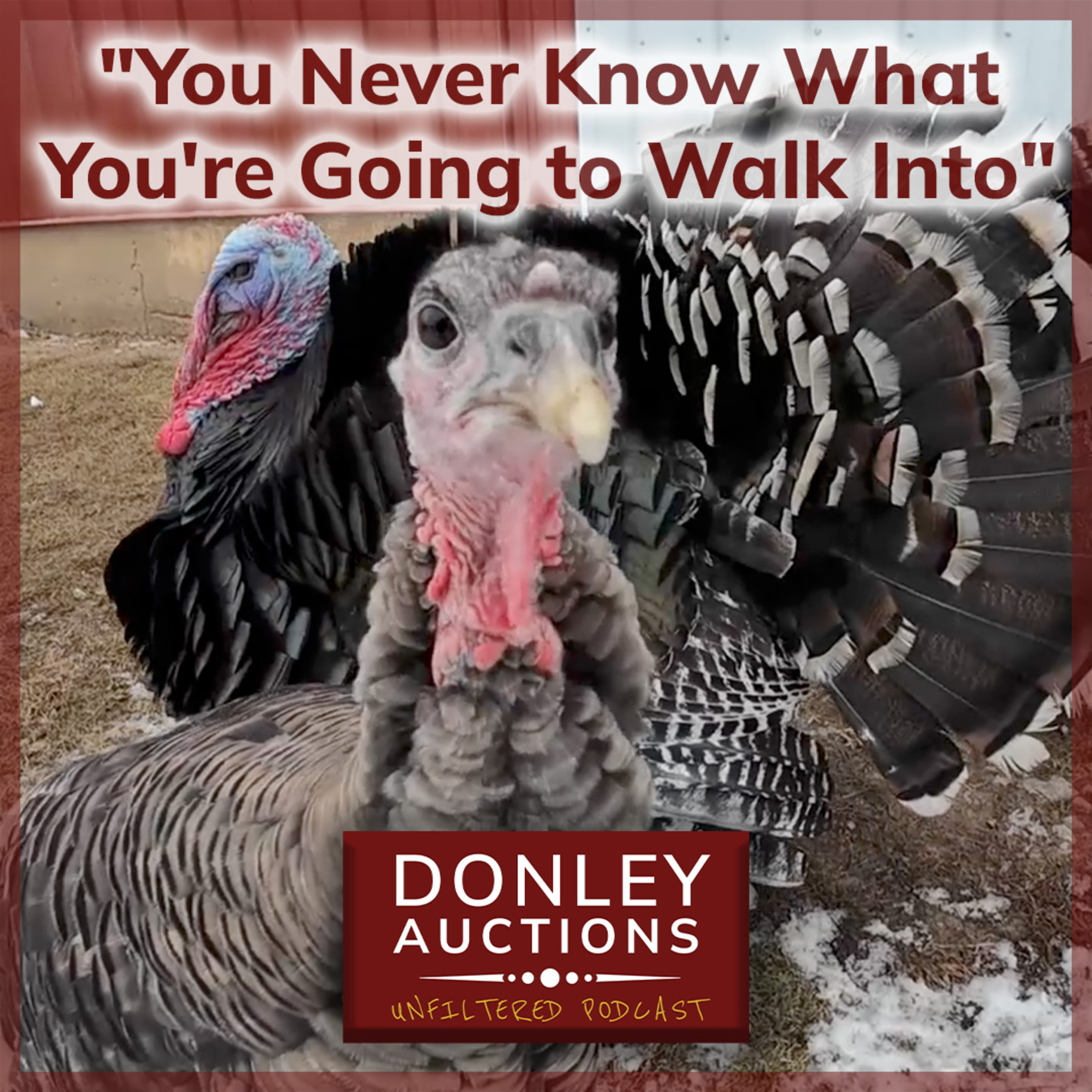 You Never Know What You're Going to Walk Into