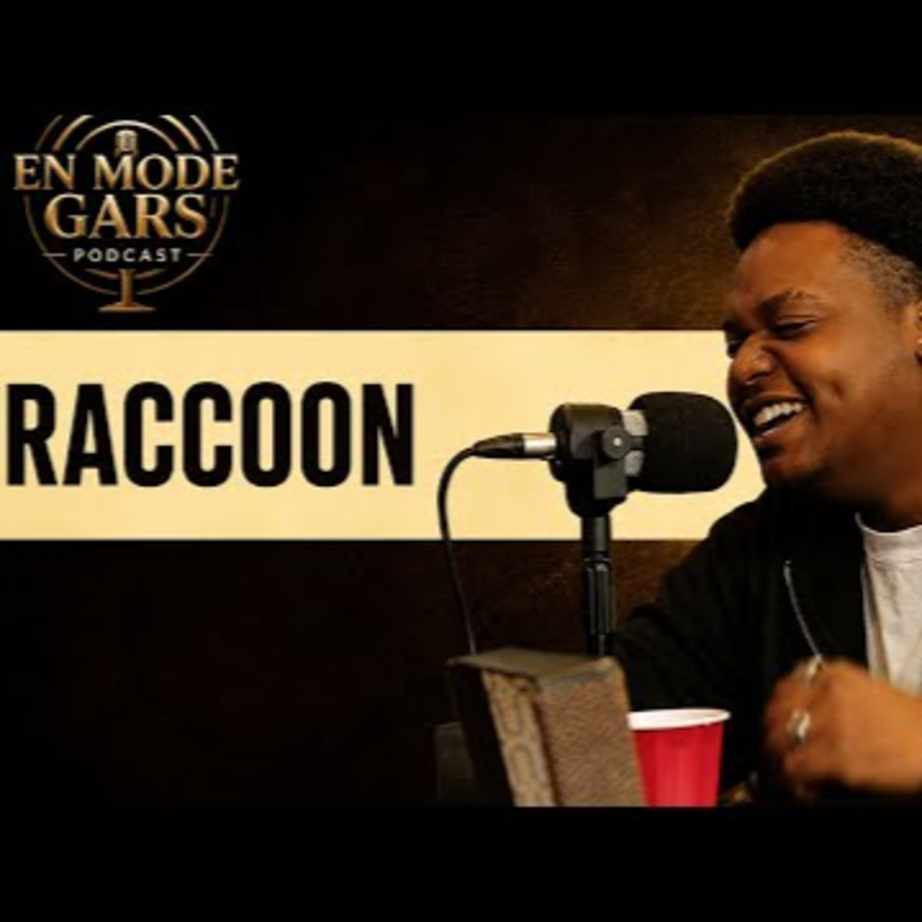 L'homme derrière l'artiste RACCOON-EMG #1 episode artwork