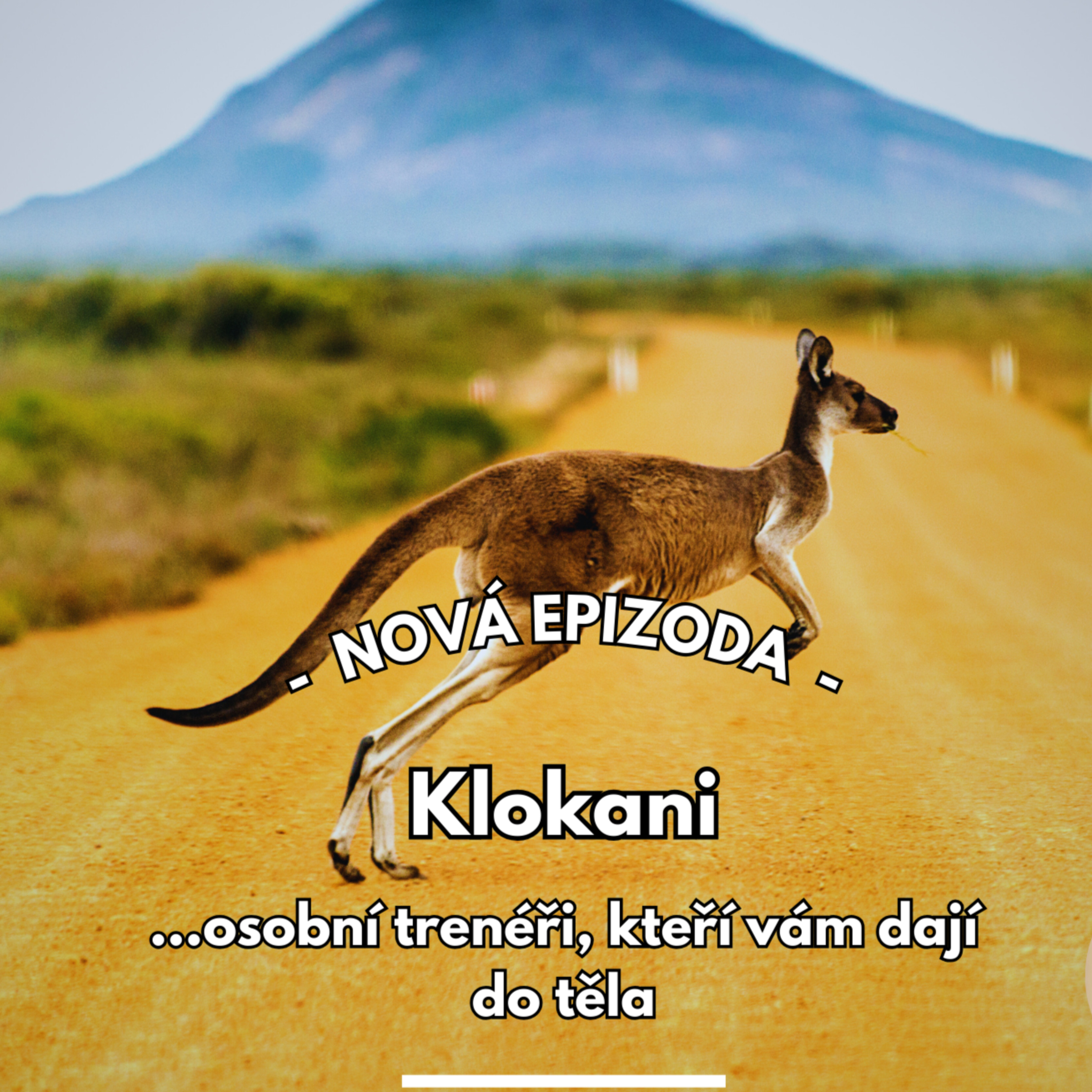 17: Osobní trenér, který vám dá do těla episode artwork