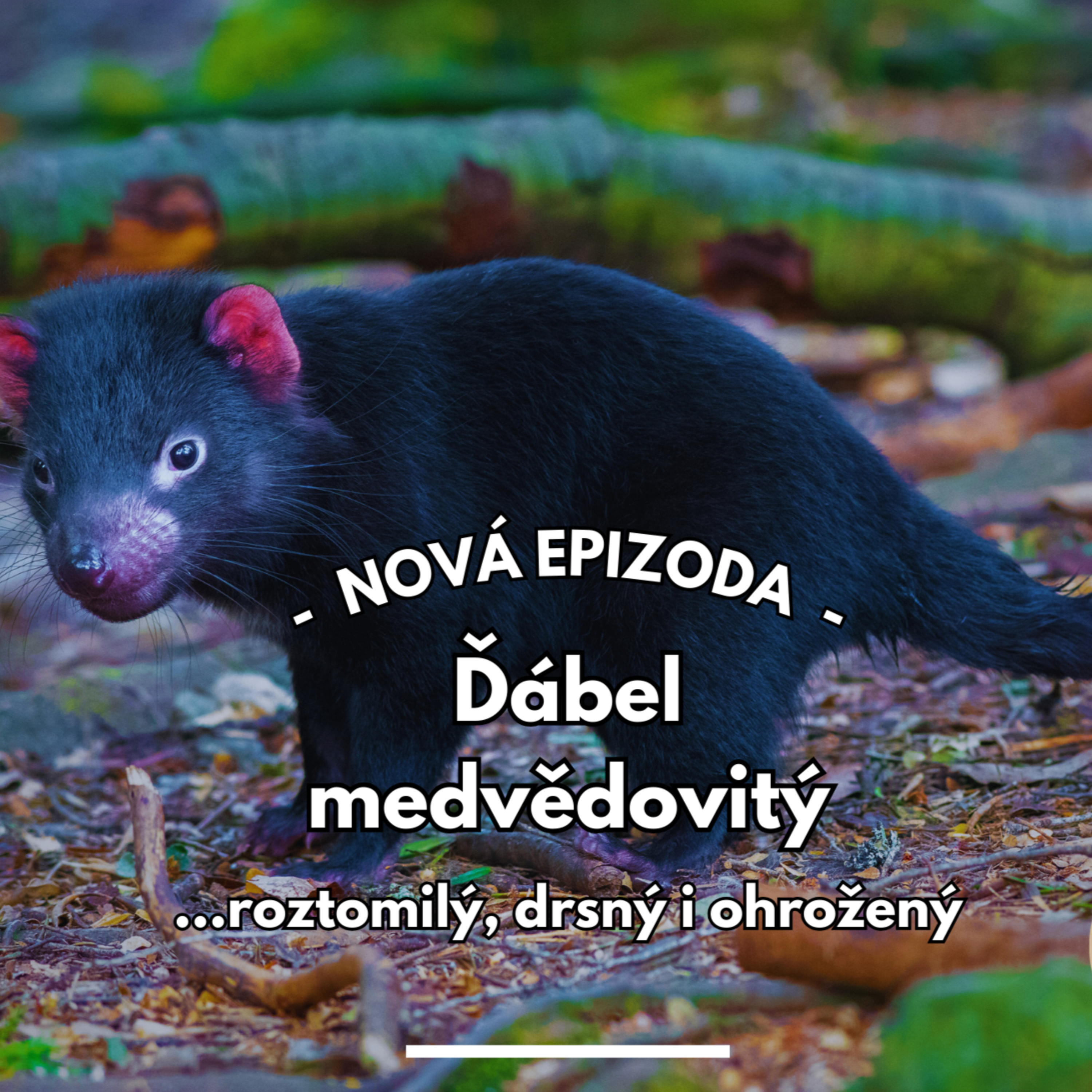 18: Čerti z Tasmánie  episode artwork