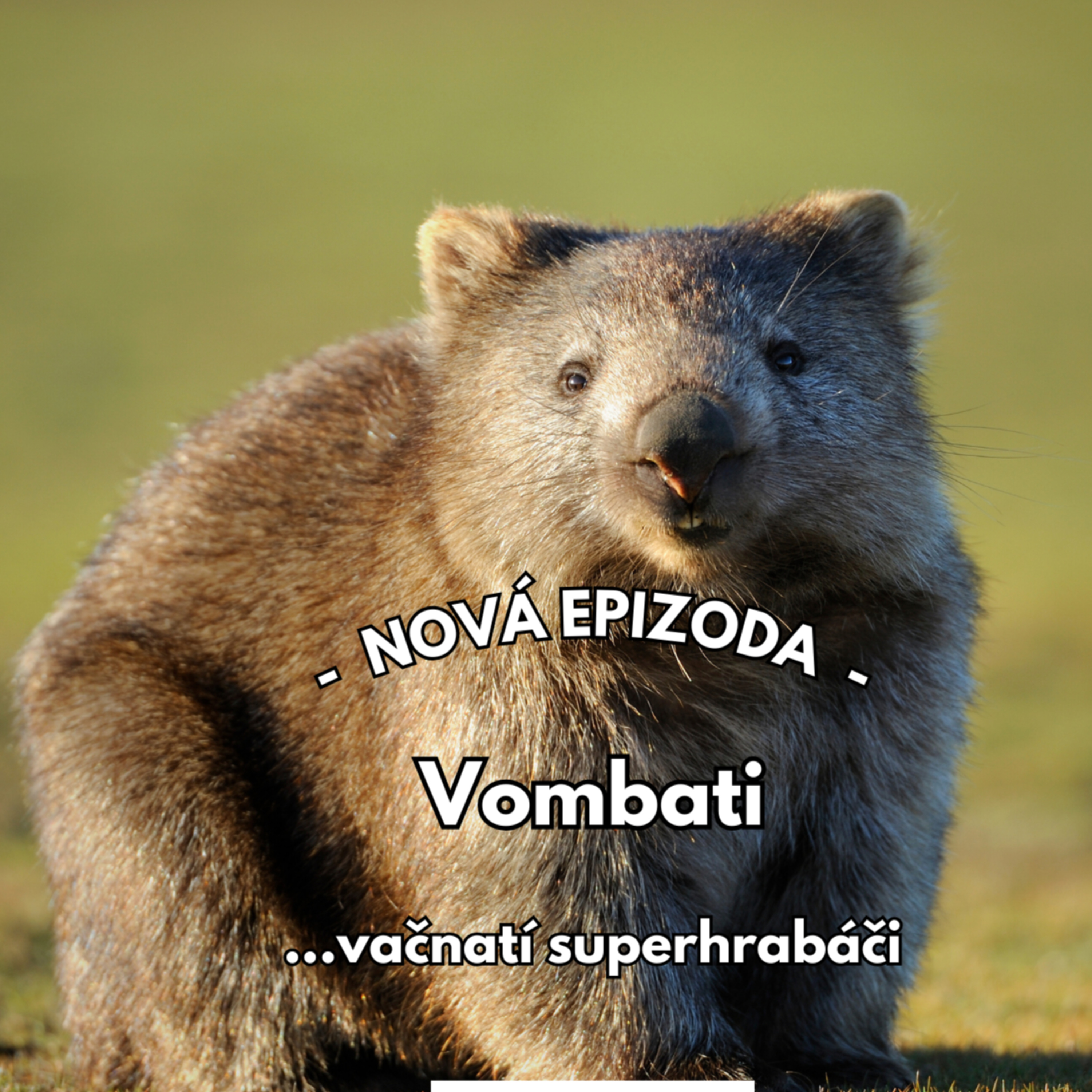 20: Nora plná překvapení episode artwork