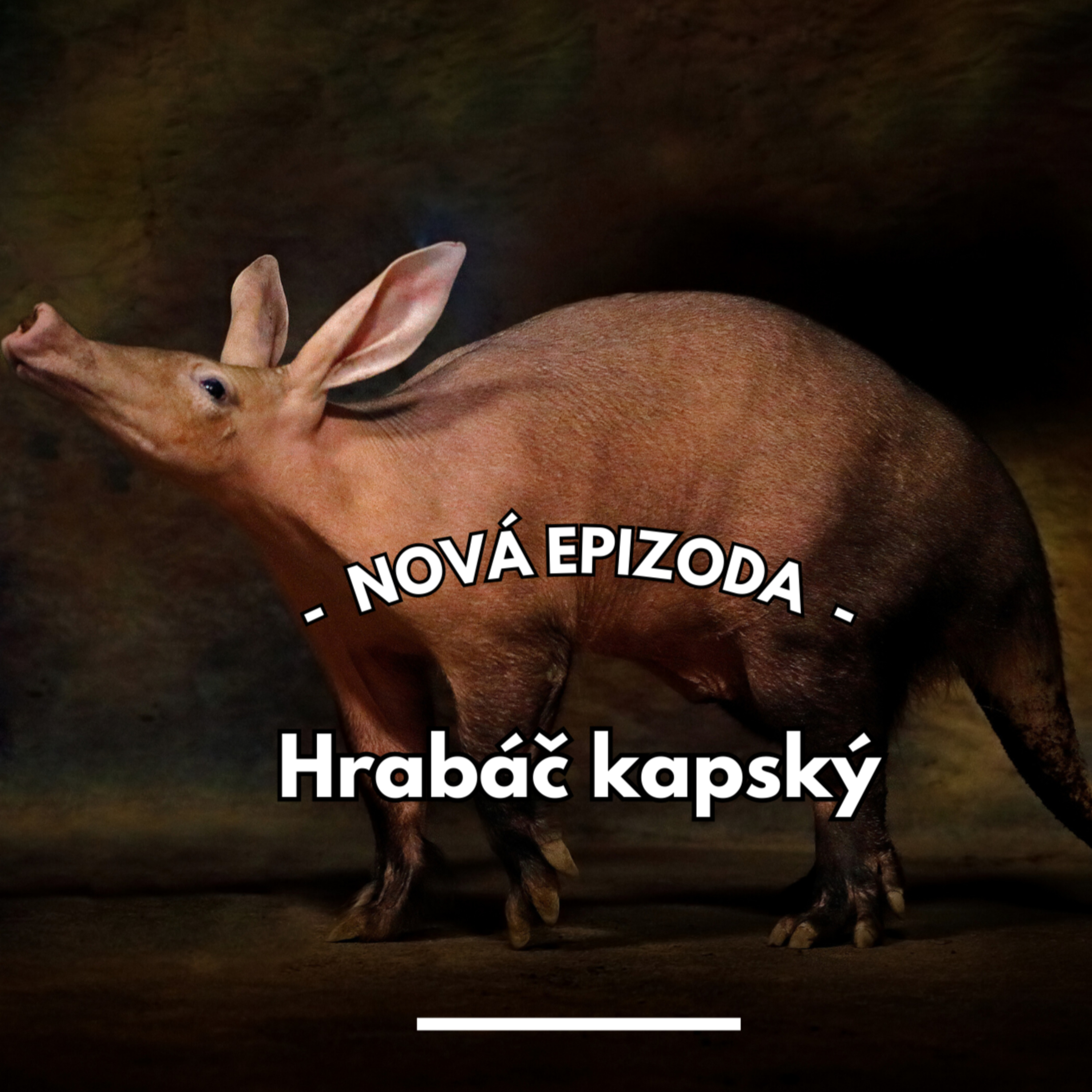 21: (Pod)zemní sele z Afriky  episode artwork