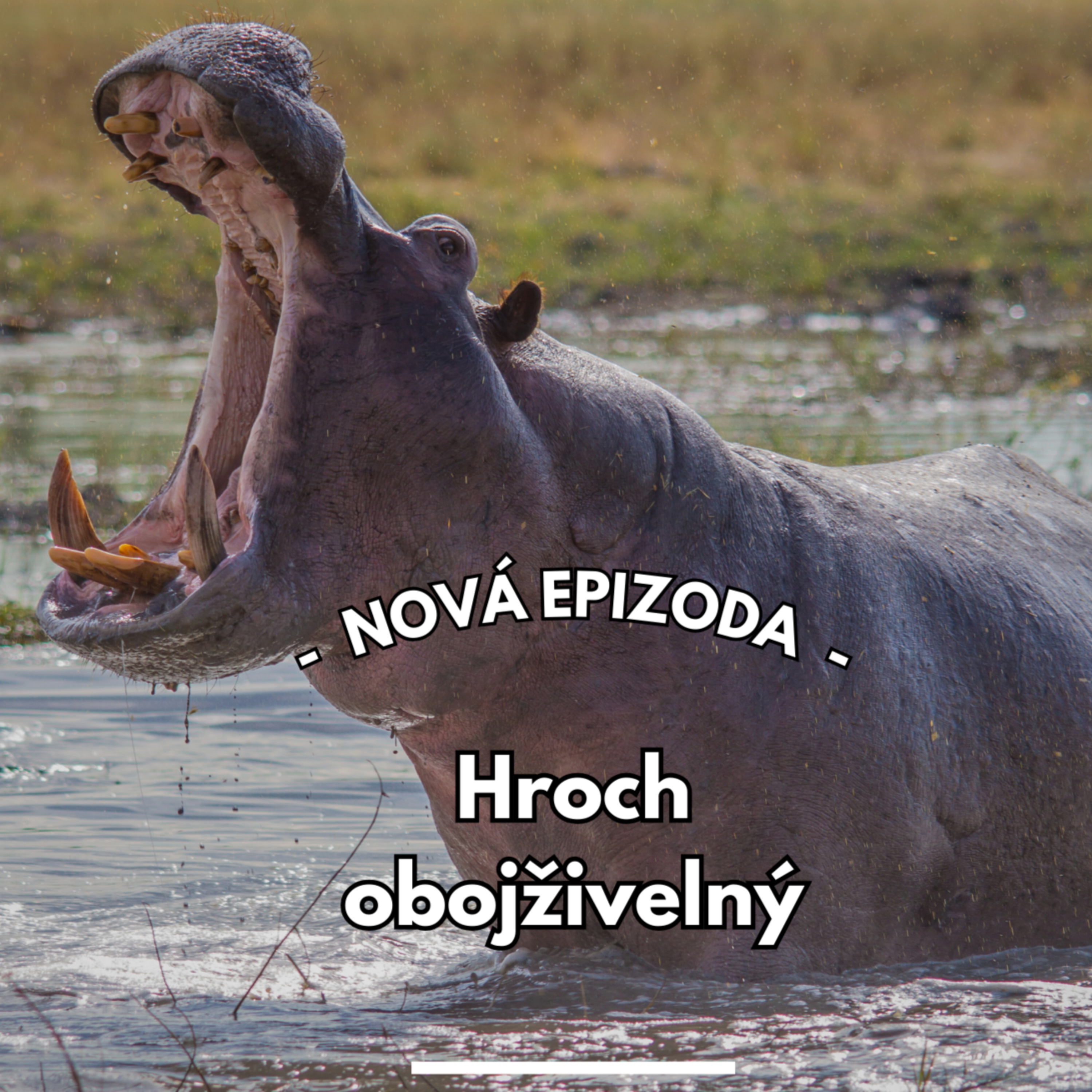 Svět pod lupou