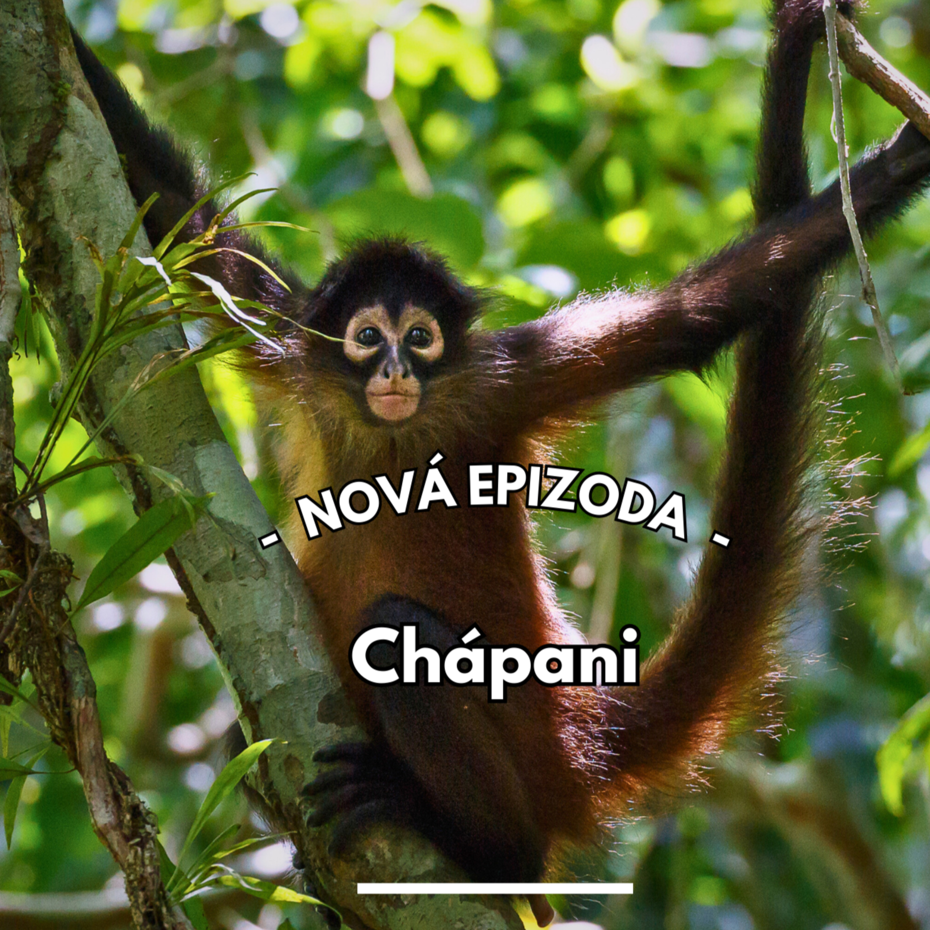 25: Chápani - nová éra čištění oken  episode artwork