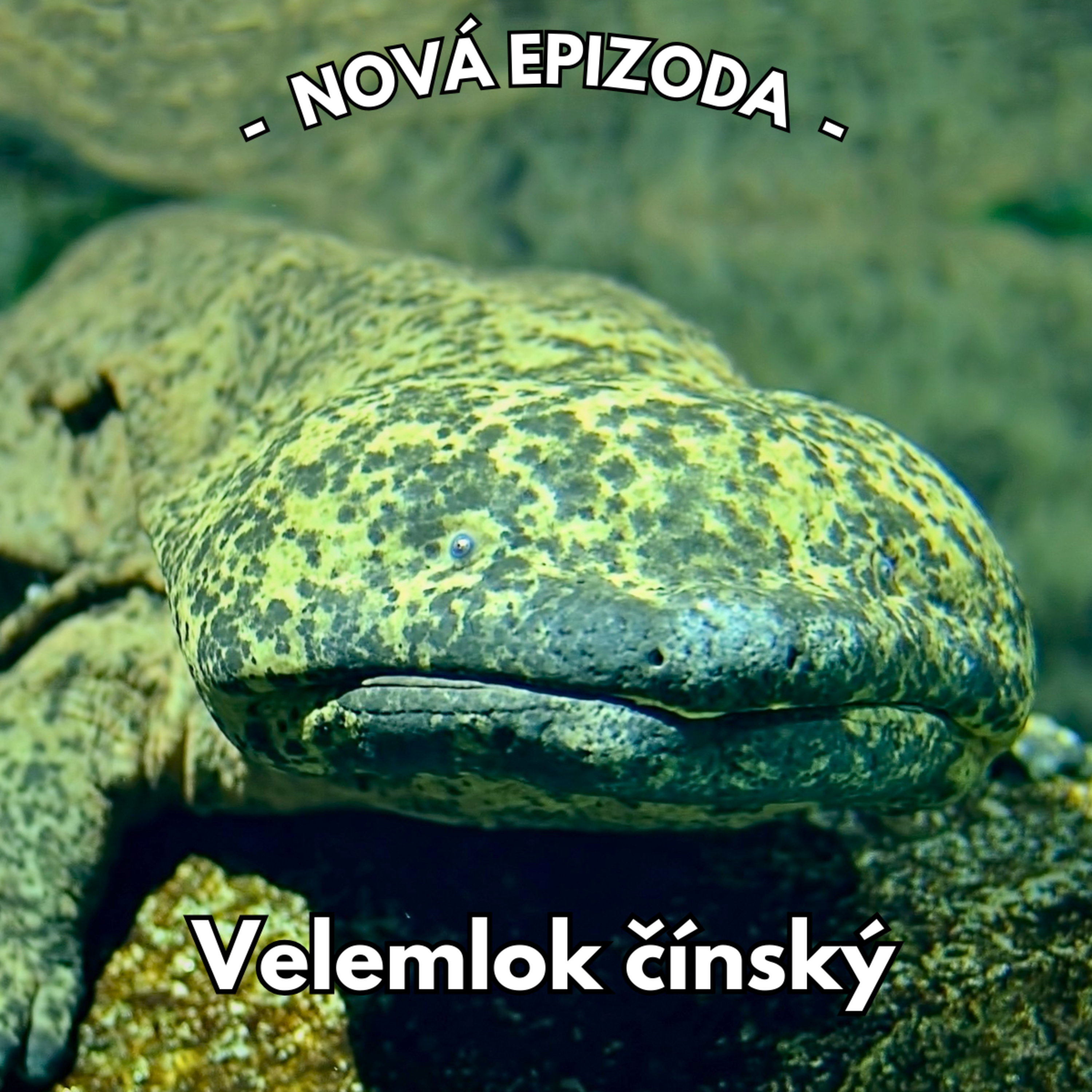 Svět pod lupou
