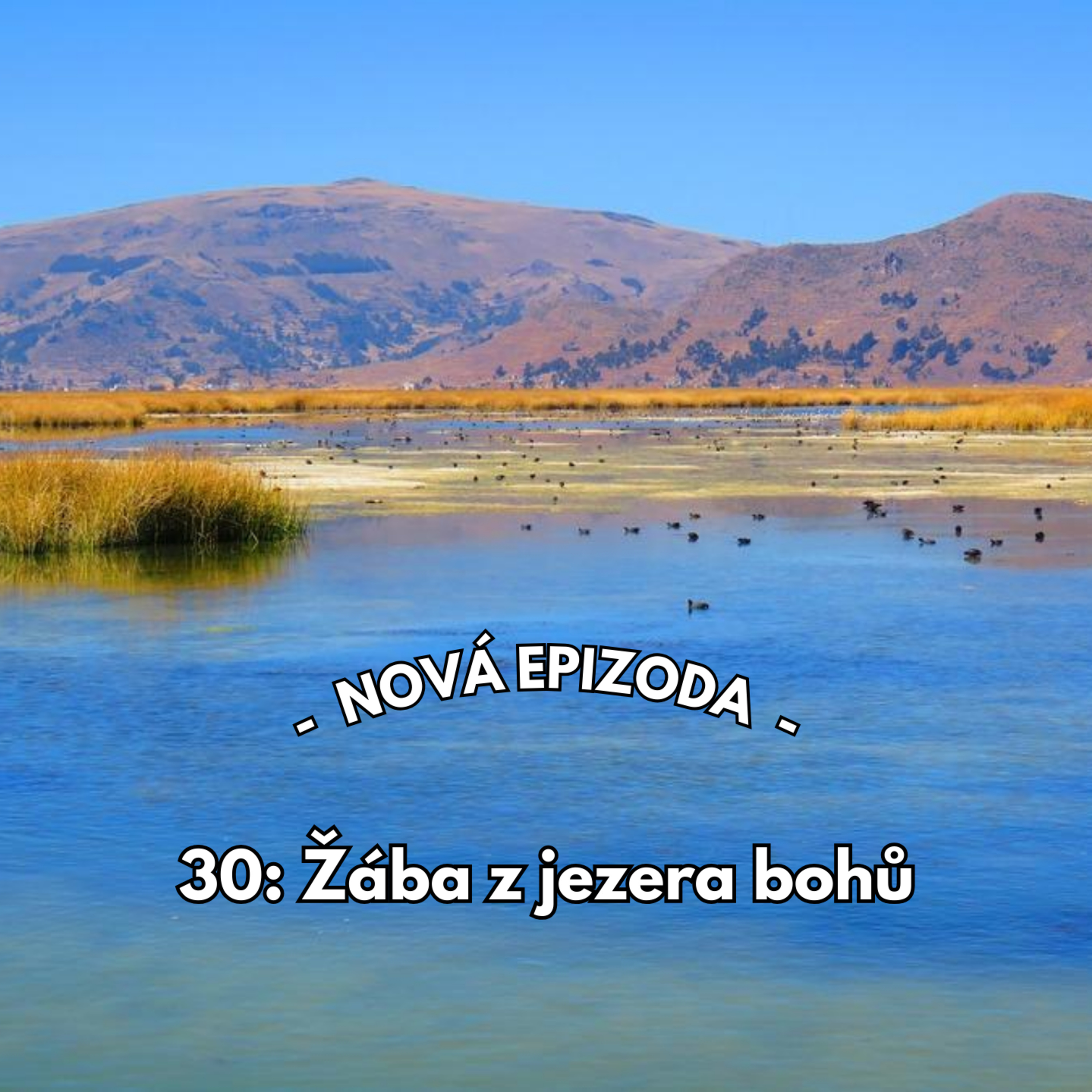 Svět pod lupou