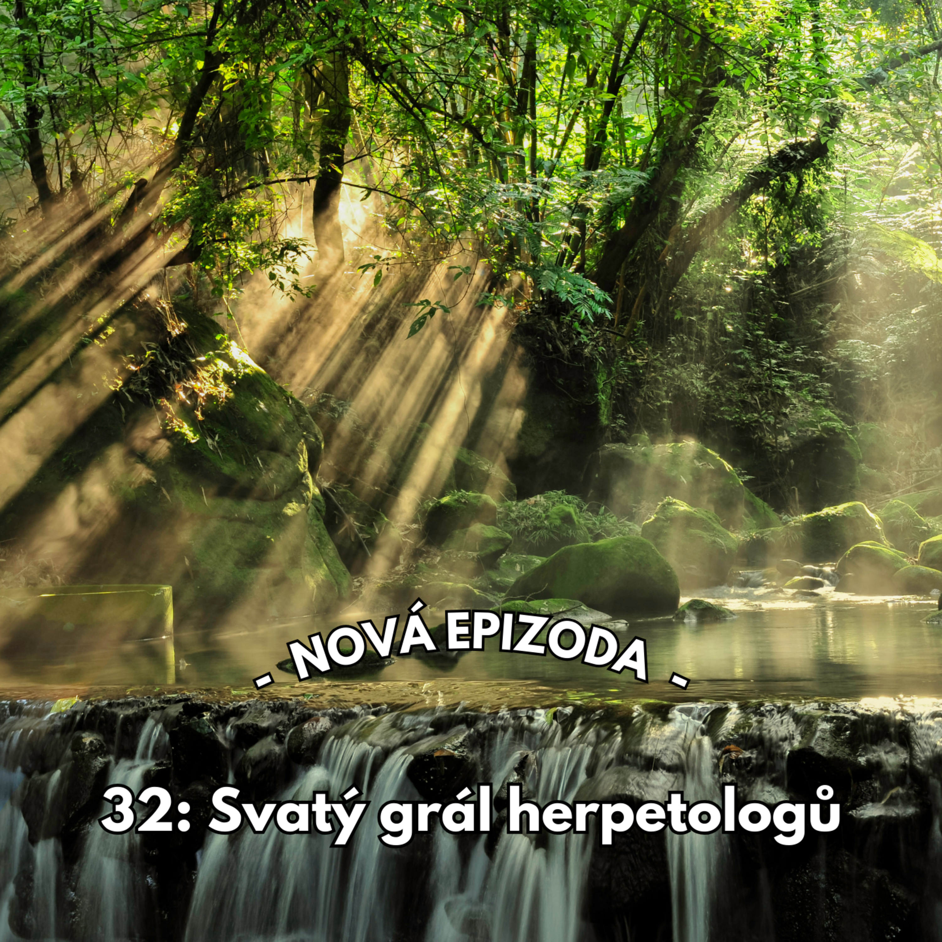 32: Svatý grál herpetologů episode artwork