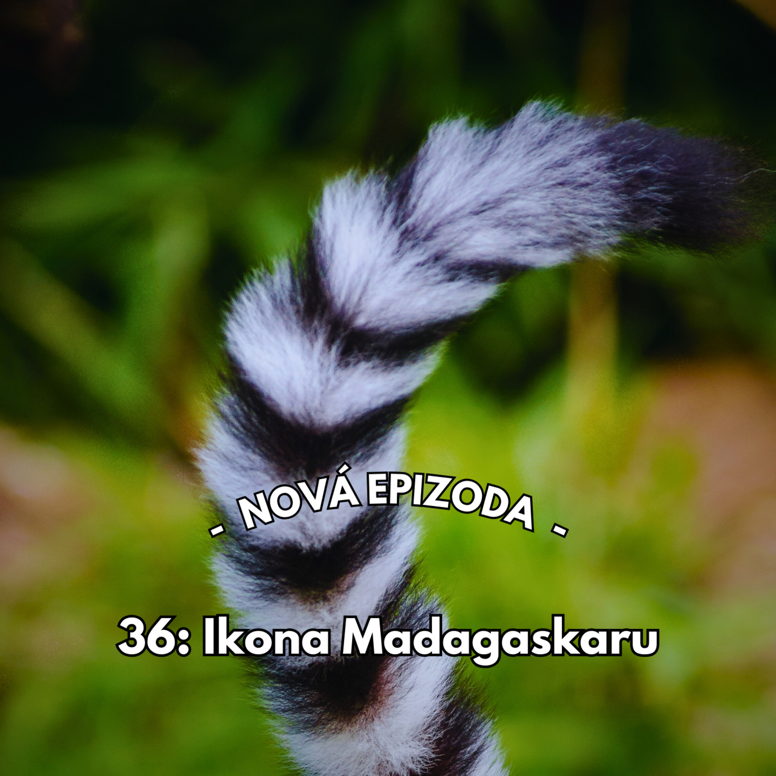 36: Ikona Madagaskaru episode artwork