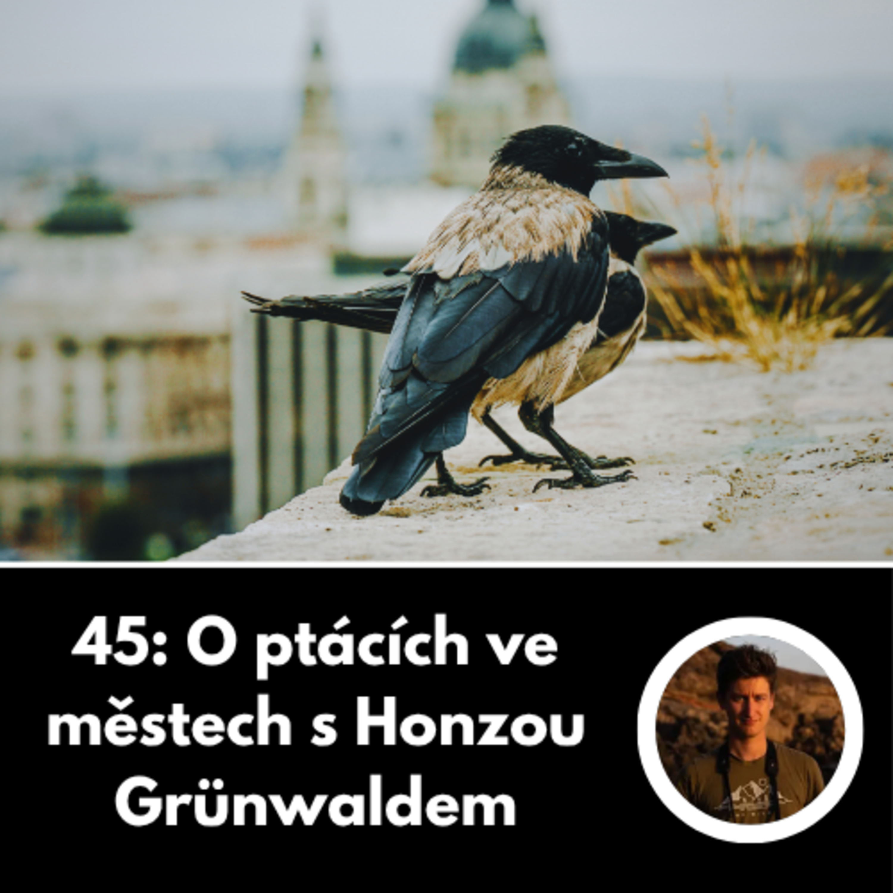 45: O ptácích ve městech s Honzou Grünwaldem episode artwork