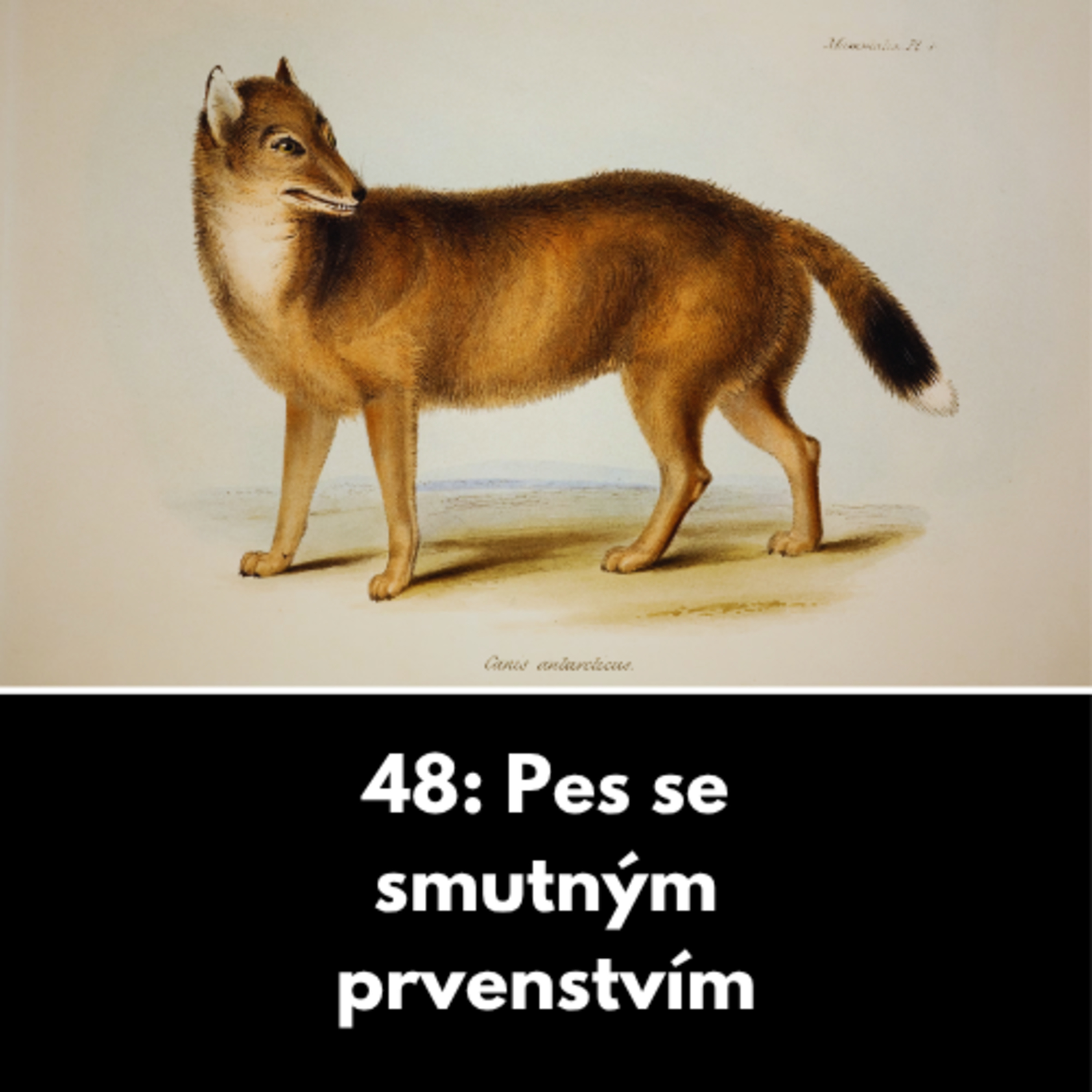 48: Pes se smutným prvenstvím  episode artwork