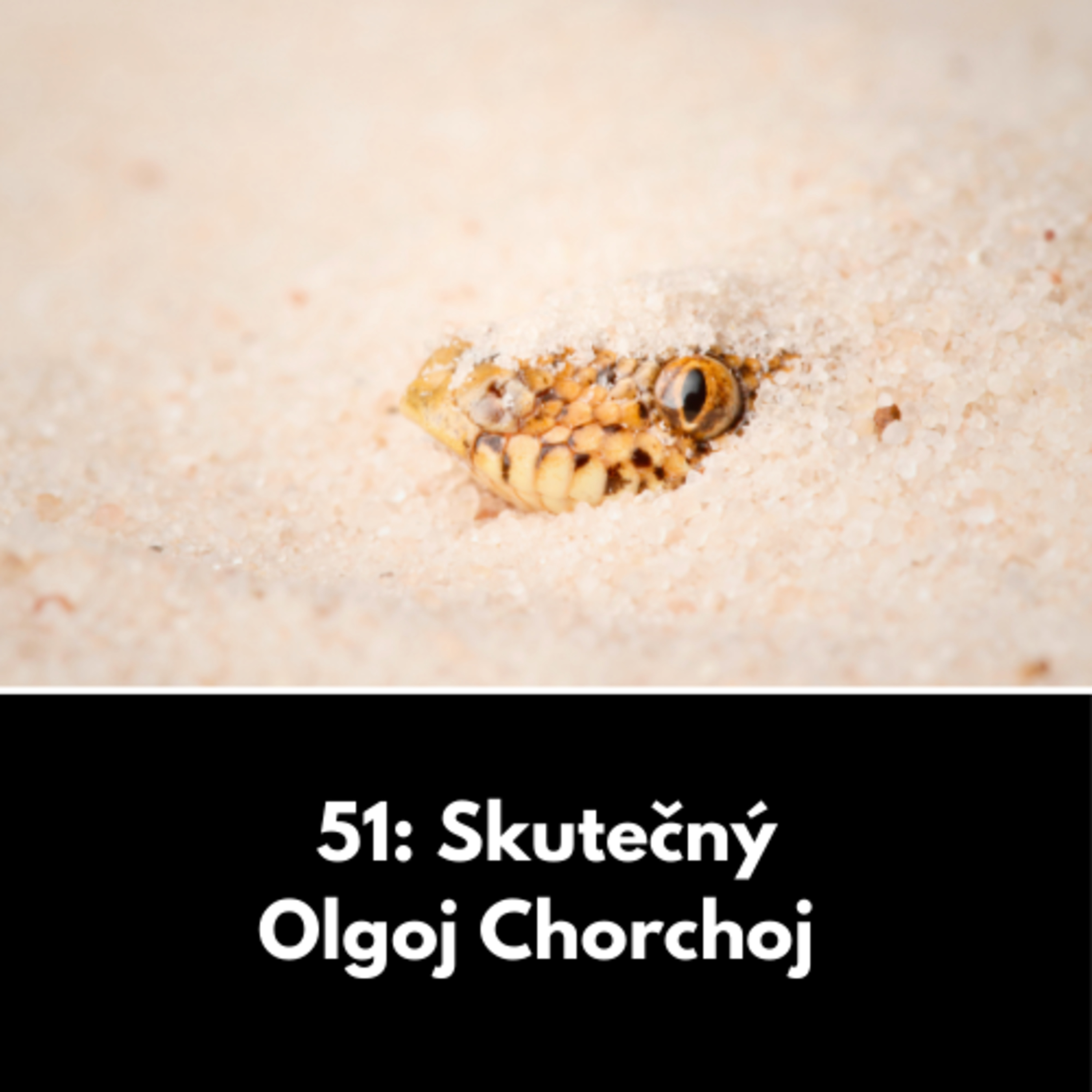51: Skutečný Olgoj Chorchoj  episode artwork