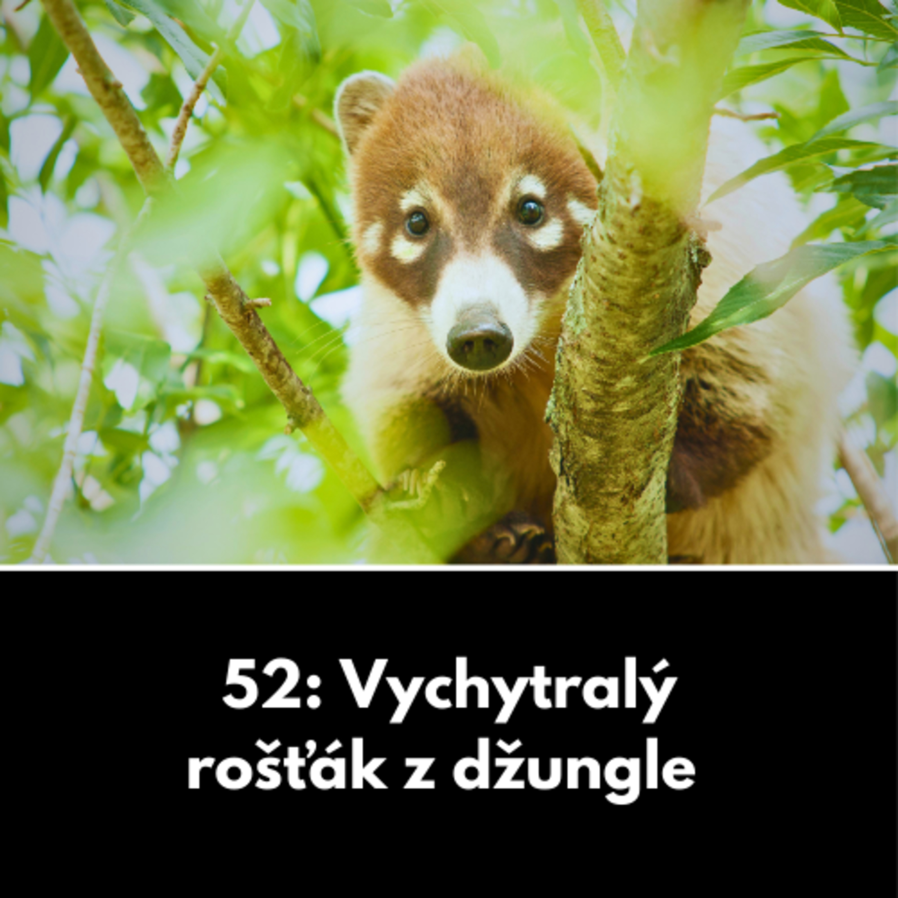 52: Vychytralý rošťák z džungle  episode artwork