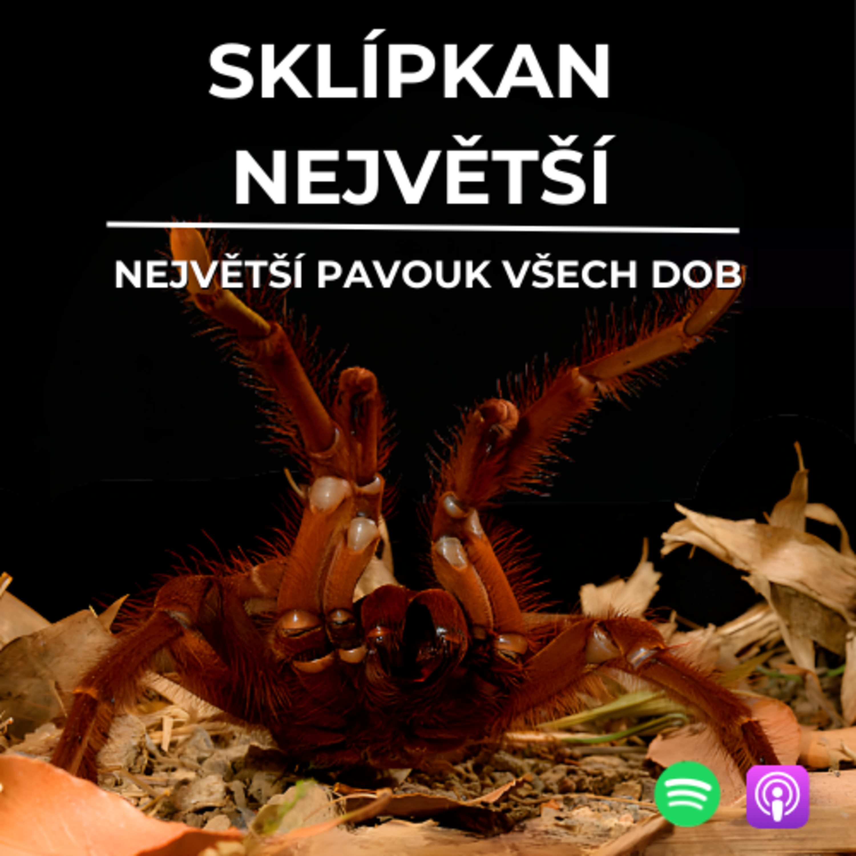 72: Největší pavouk všech dob | Sklípkan největší  episode artwork