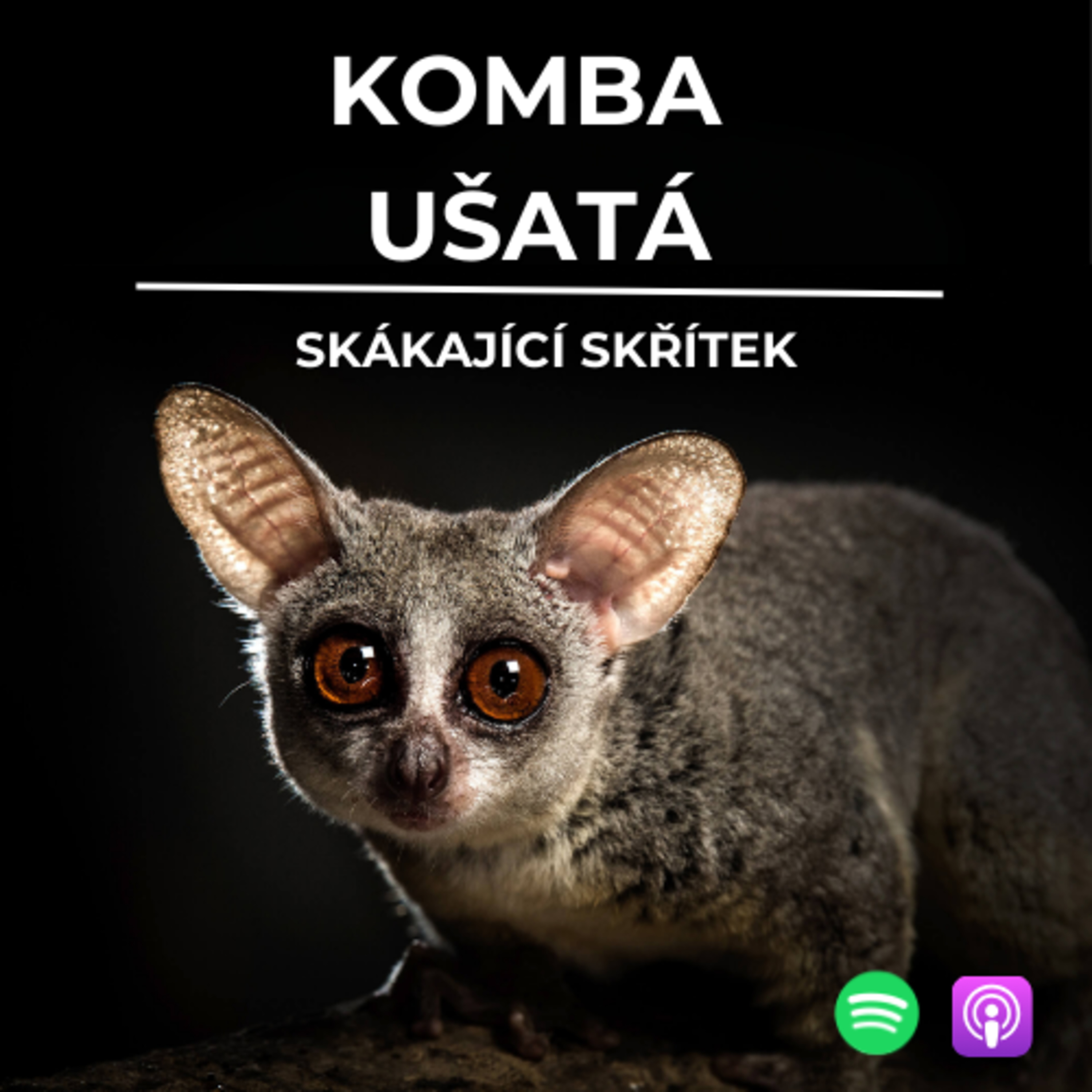 73: Skákající skřítek | Komba ušatá episode artwork