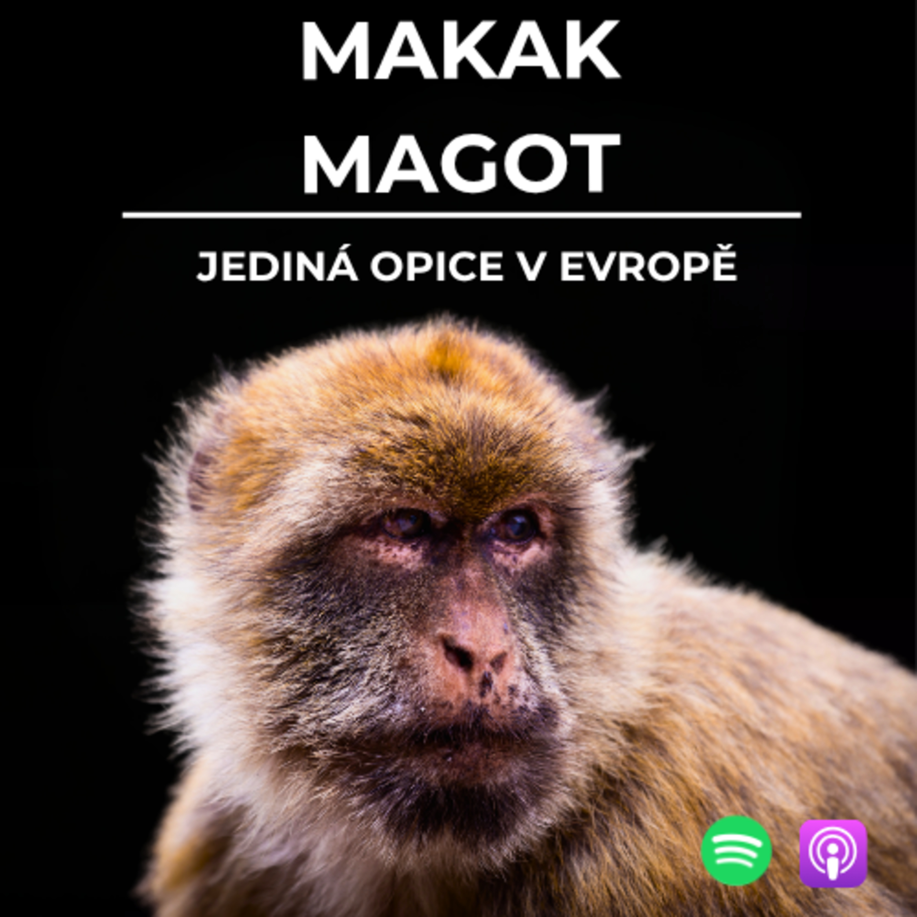 83: Jediná evropská opice | Makak magot episode artwork