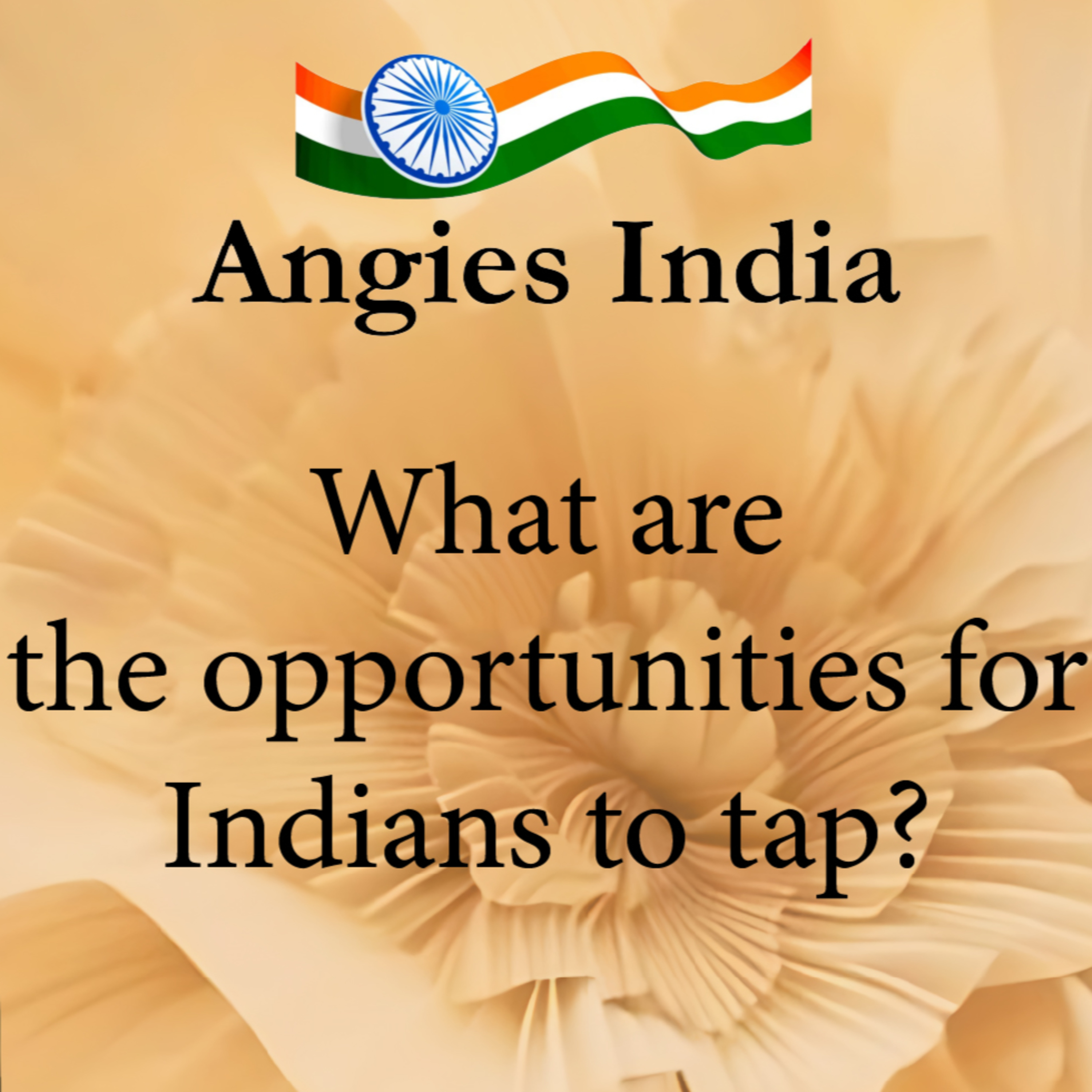 This is India's Decade, infact it's India's century, We have massive opportunities episode artwork